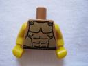 8684spartanwarriore.jpg