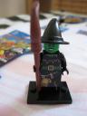 8684witch2.jpg
