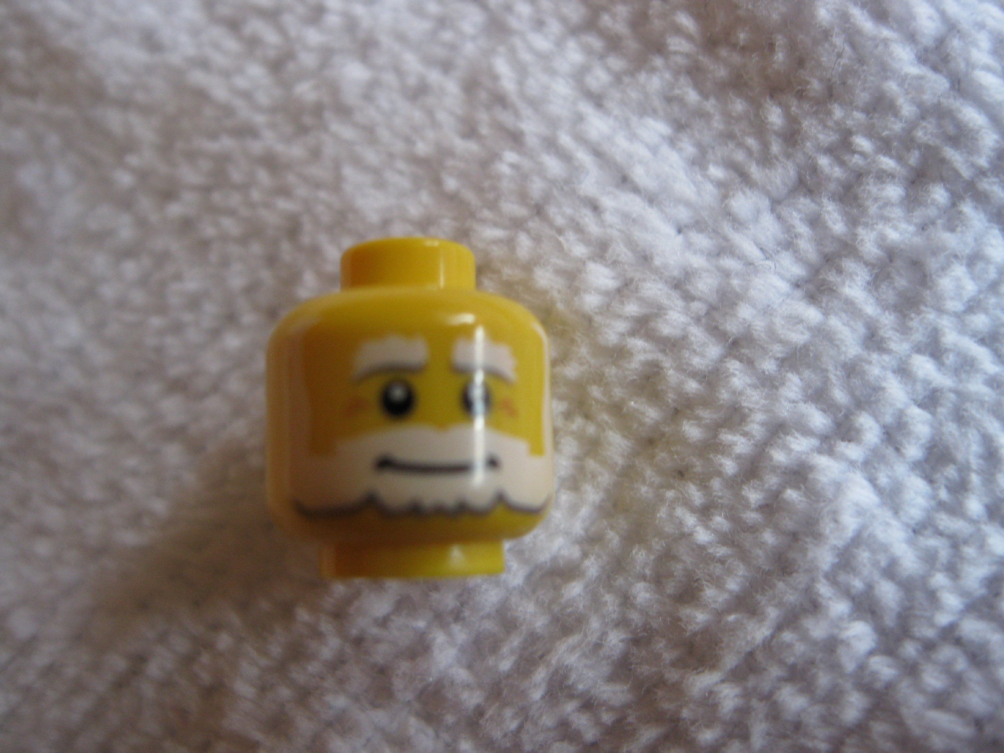8804lawngnomee.jpg