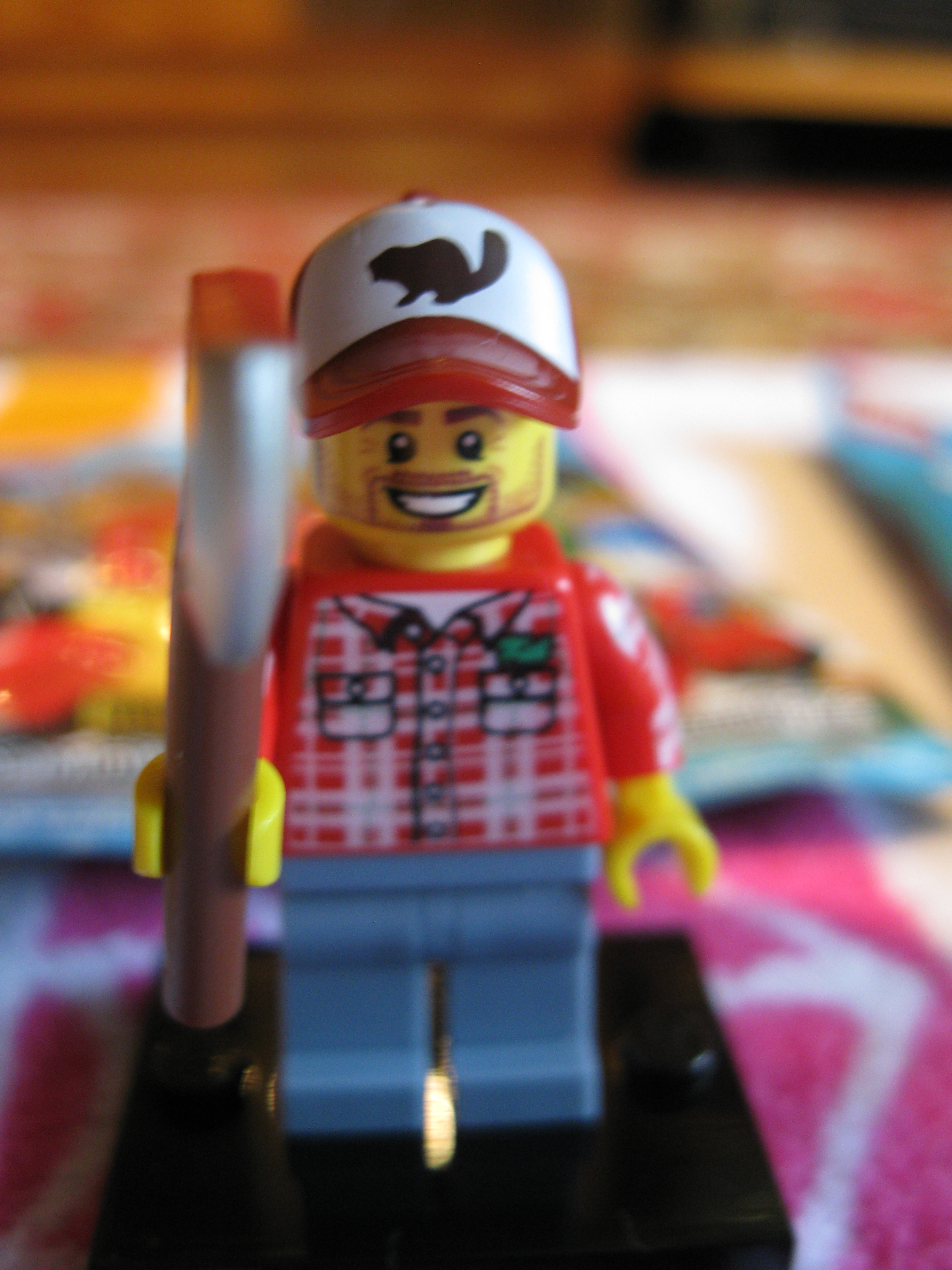 8805lumberjack2.jpg