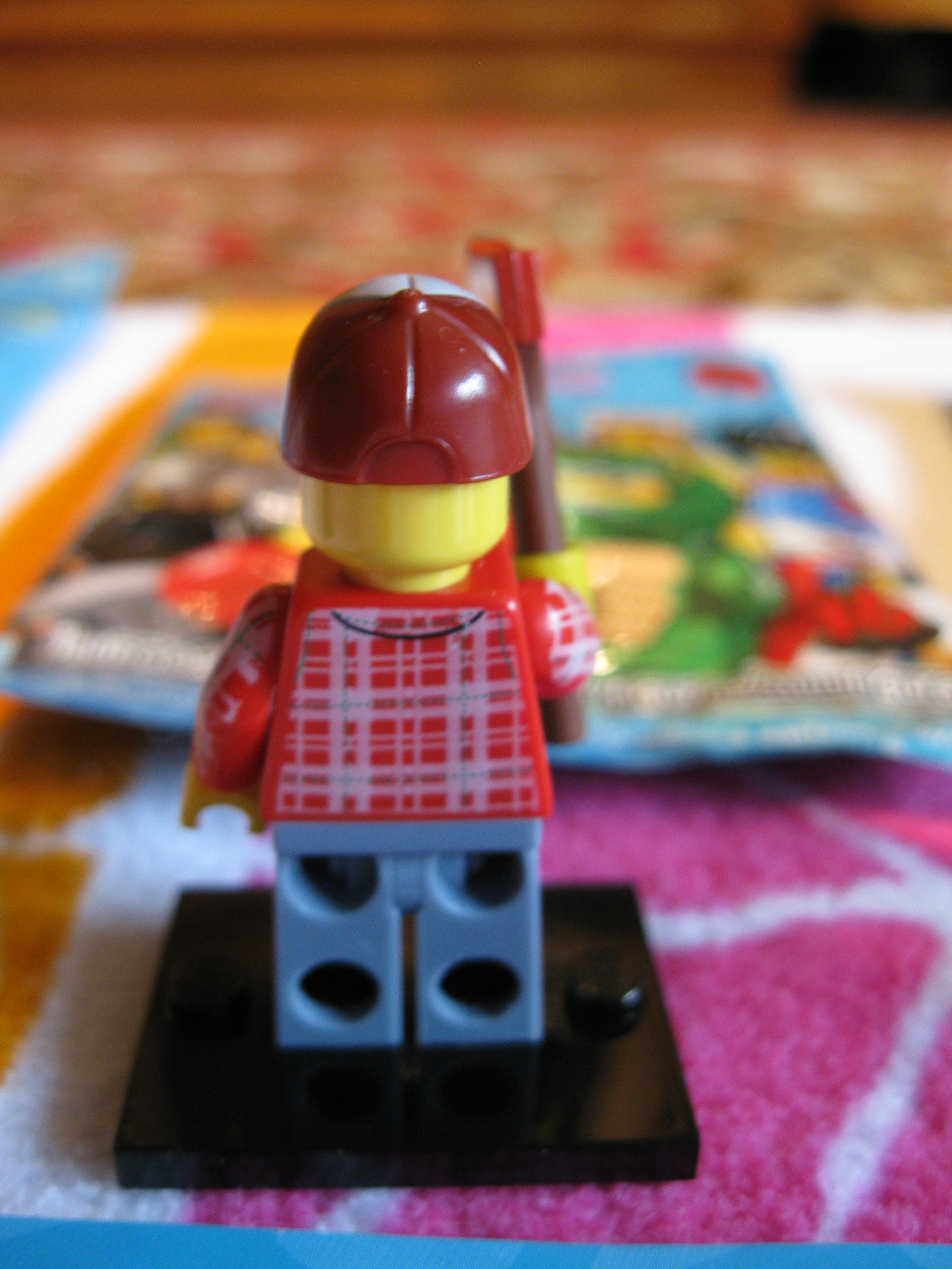 8805lumberjack4.jpg