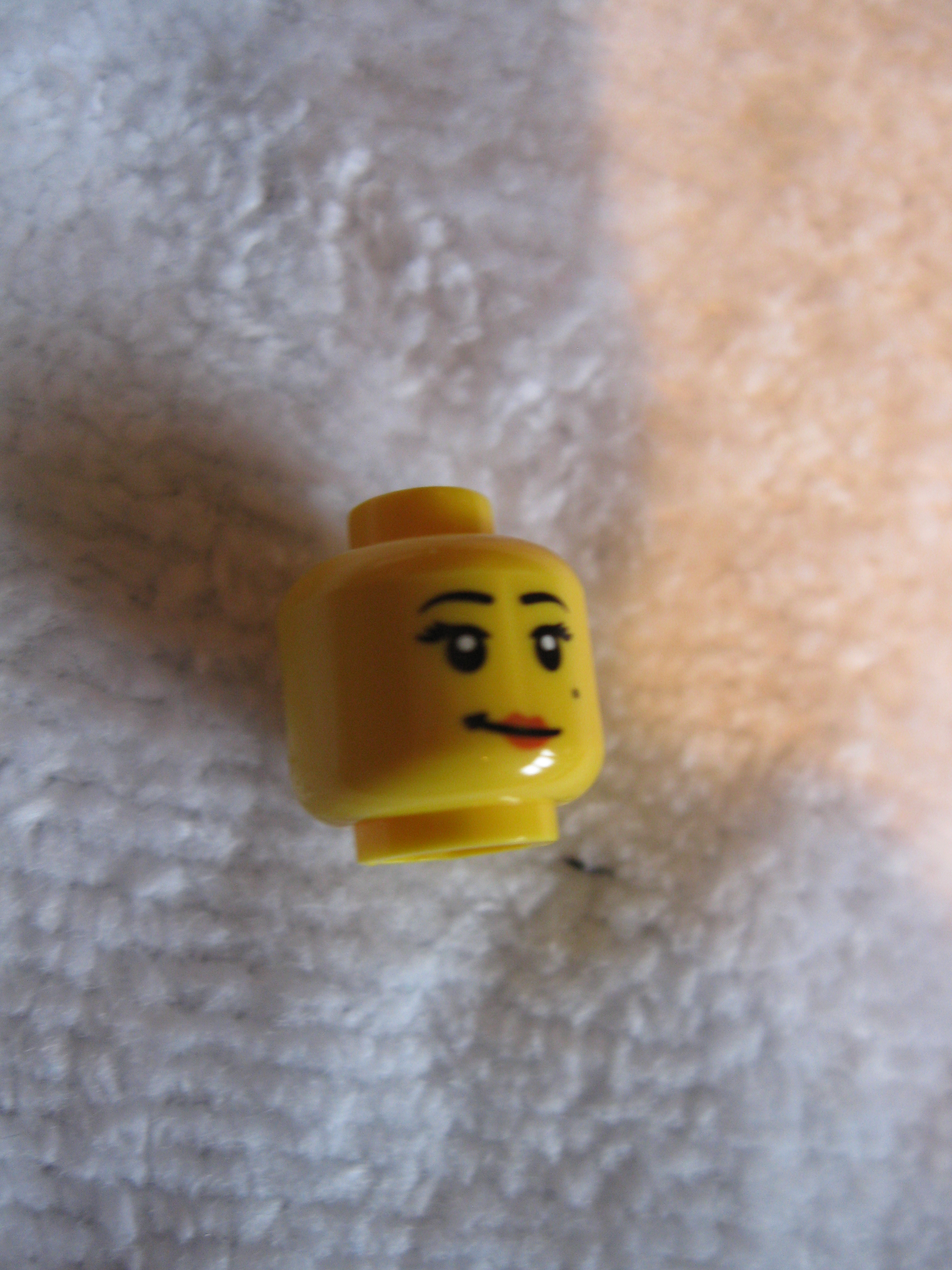 8805zookeeperb.jpg