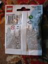 8827leprechaunpolybag2.jpg
