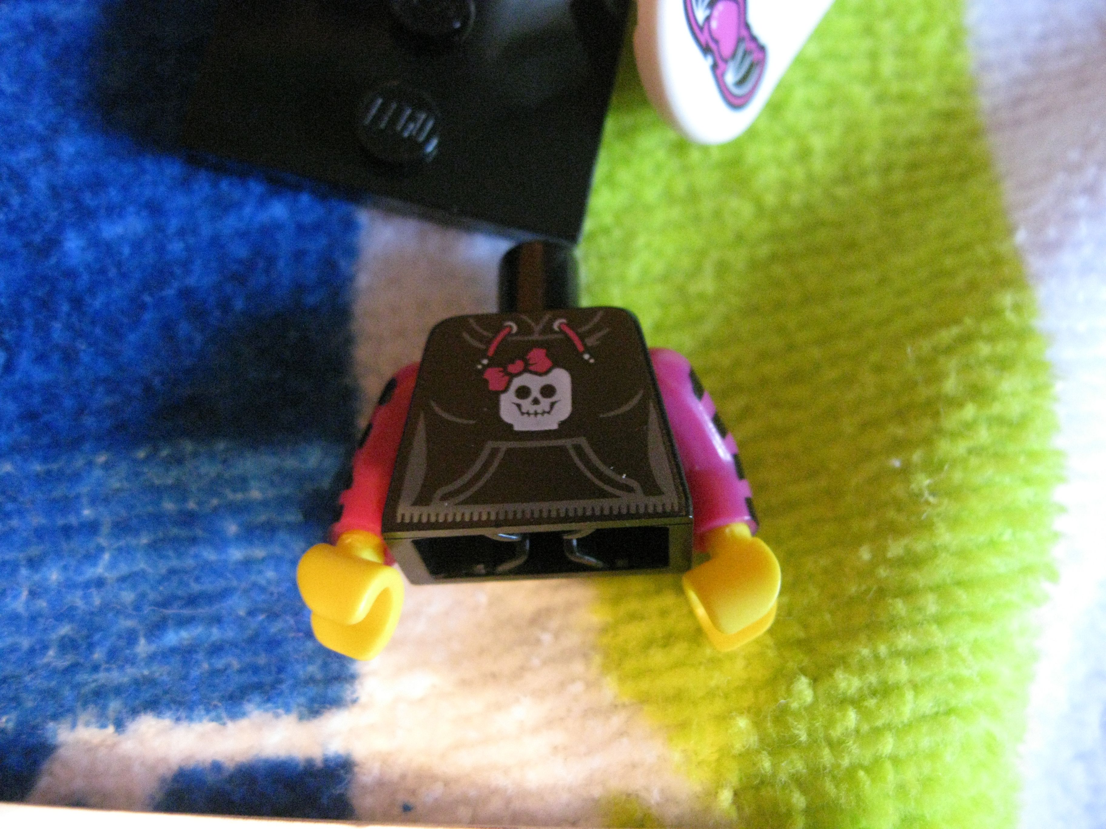 8827skatergirlf.jpg