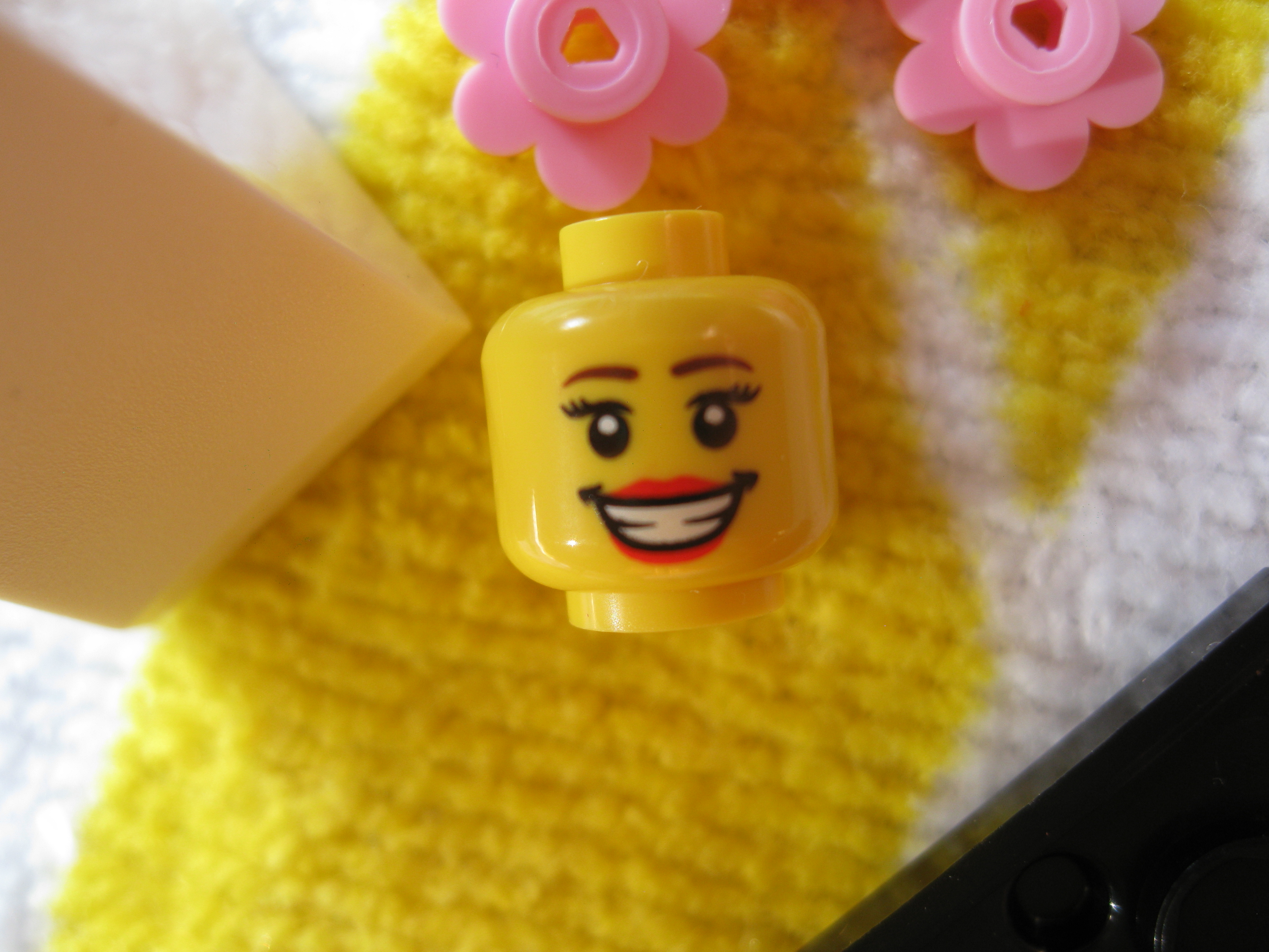 8831brideg.jpg