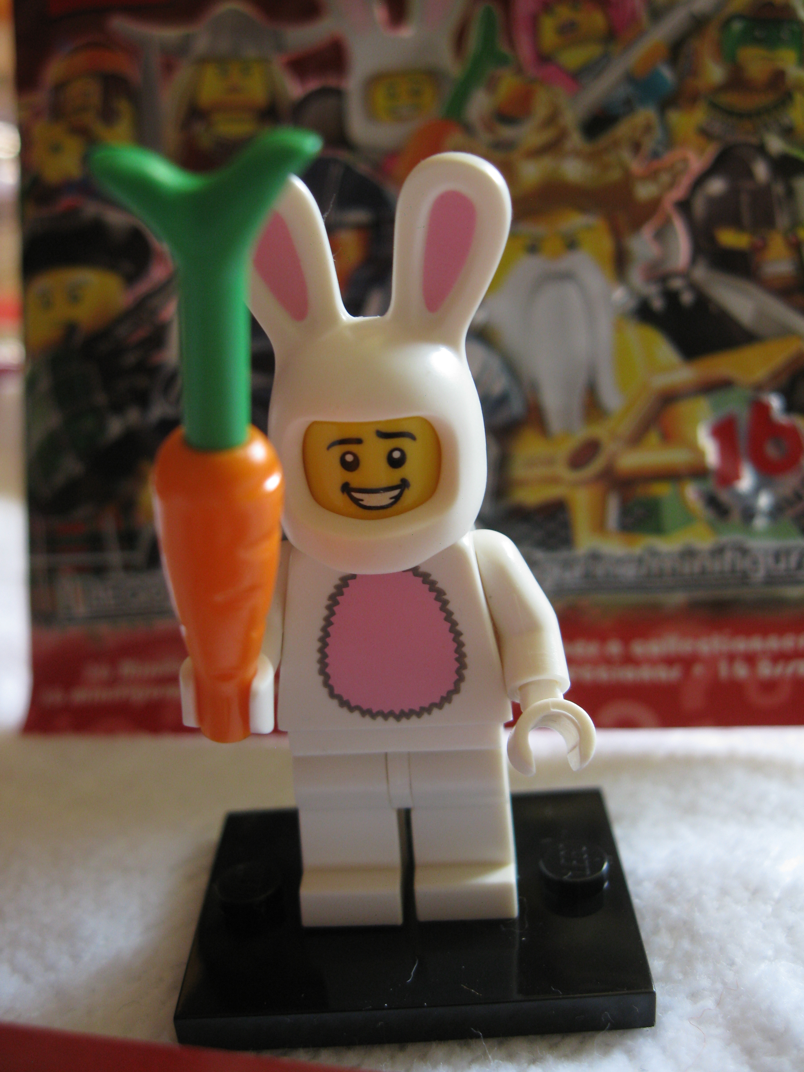 8831bunnysuitguy2.jpg