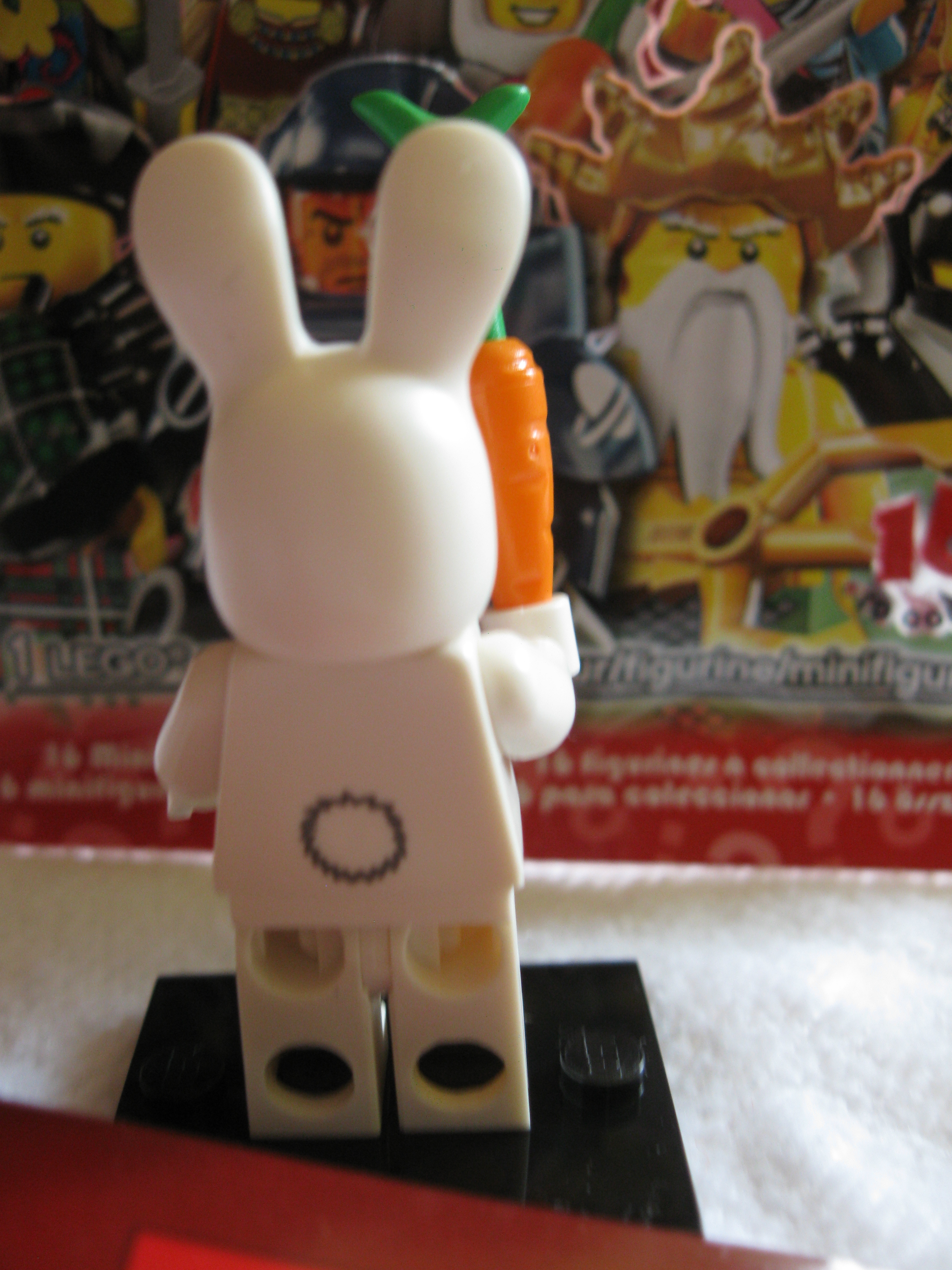 8831bunnysuitguy3.jpg