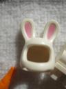 8831bunnysuitguyf.jpg