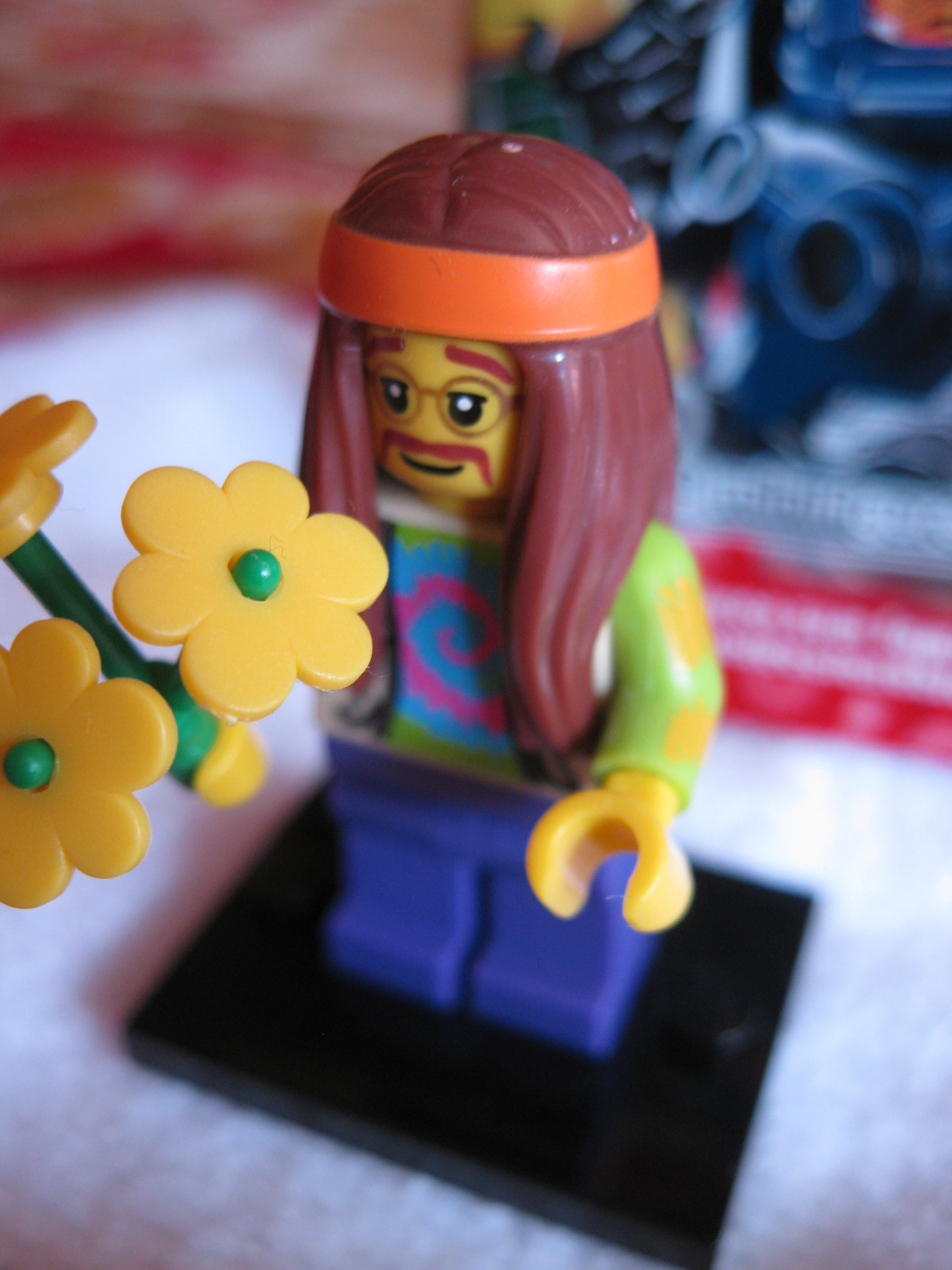 8831hippie2.jpg