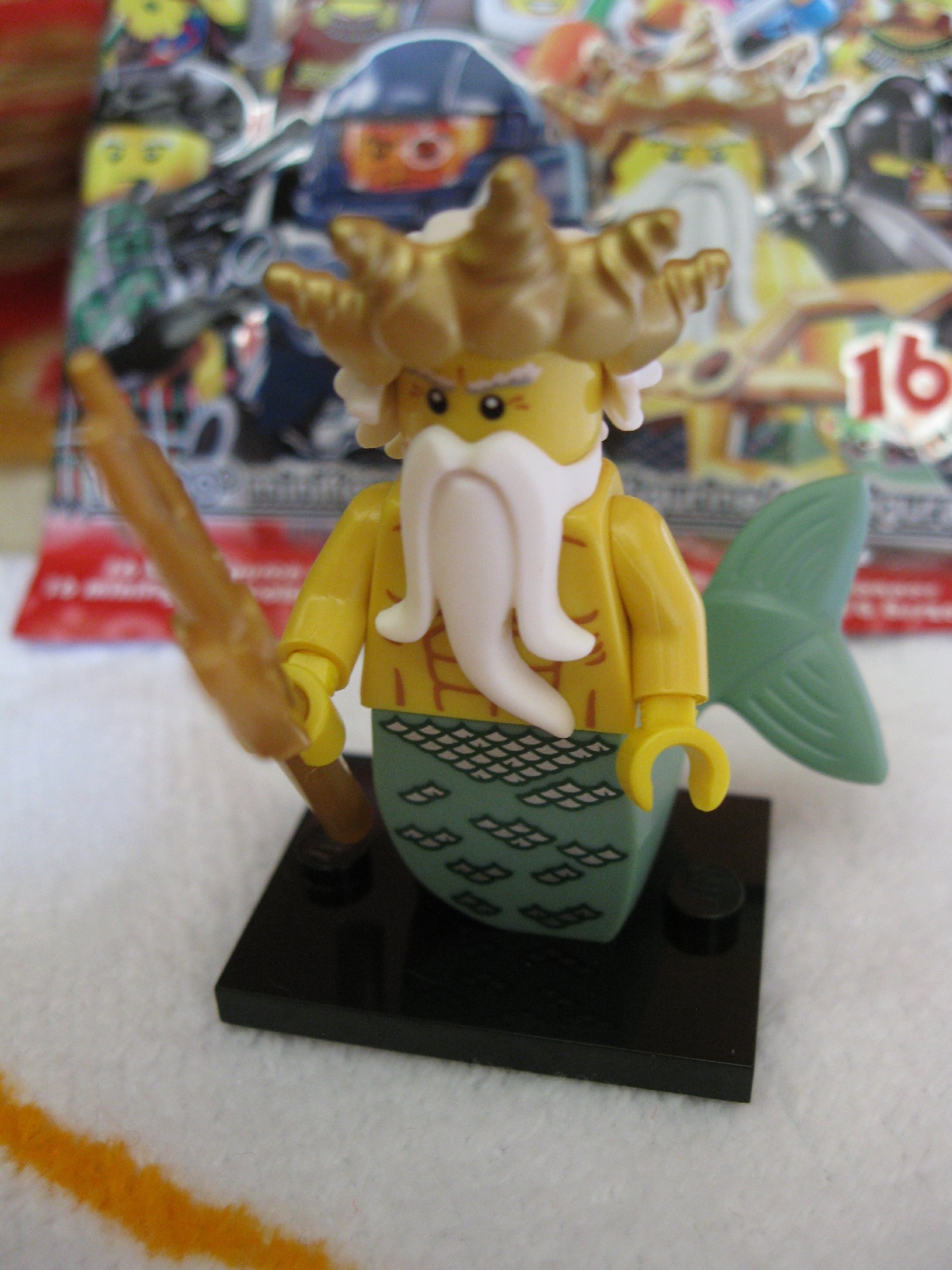8831oceanking3.jpg