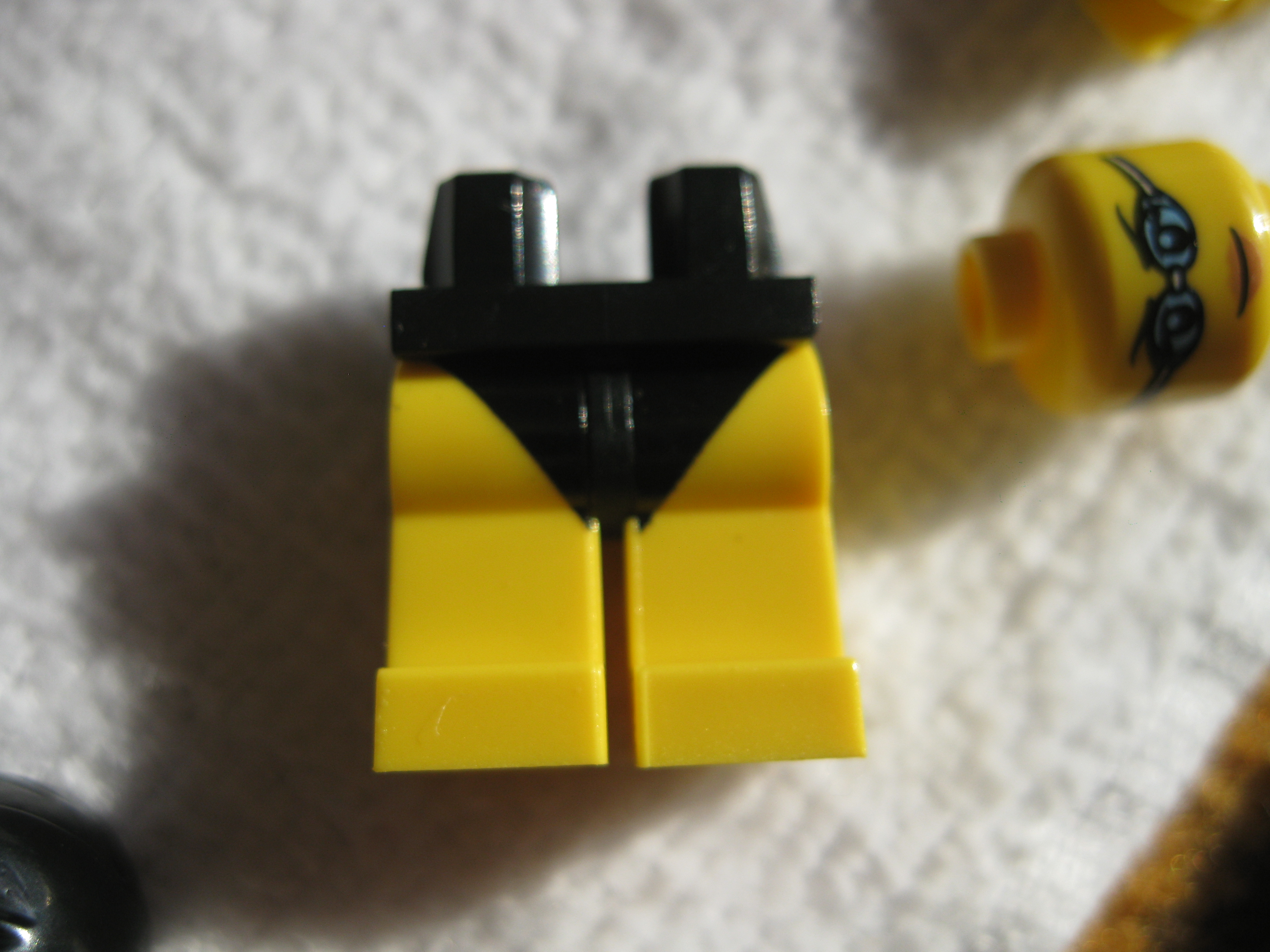 8831swimmingchampionb.jpg