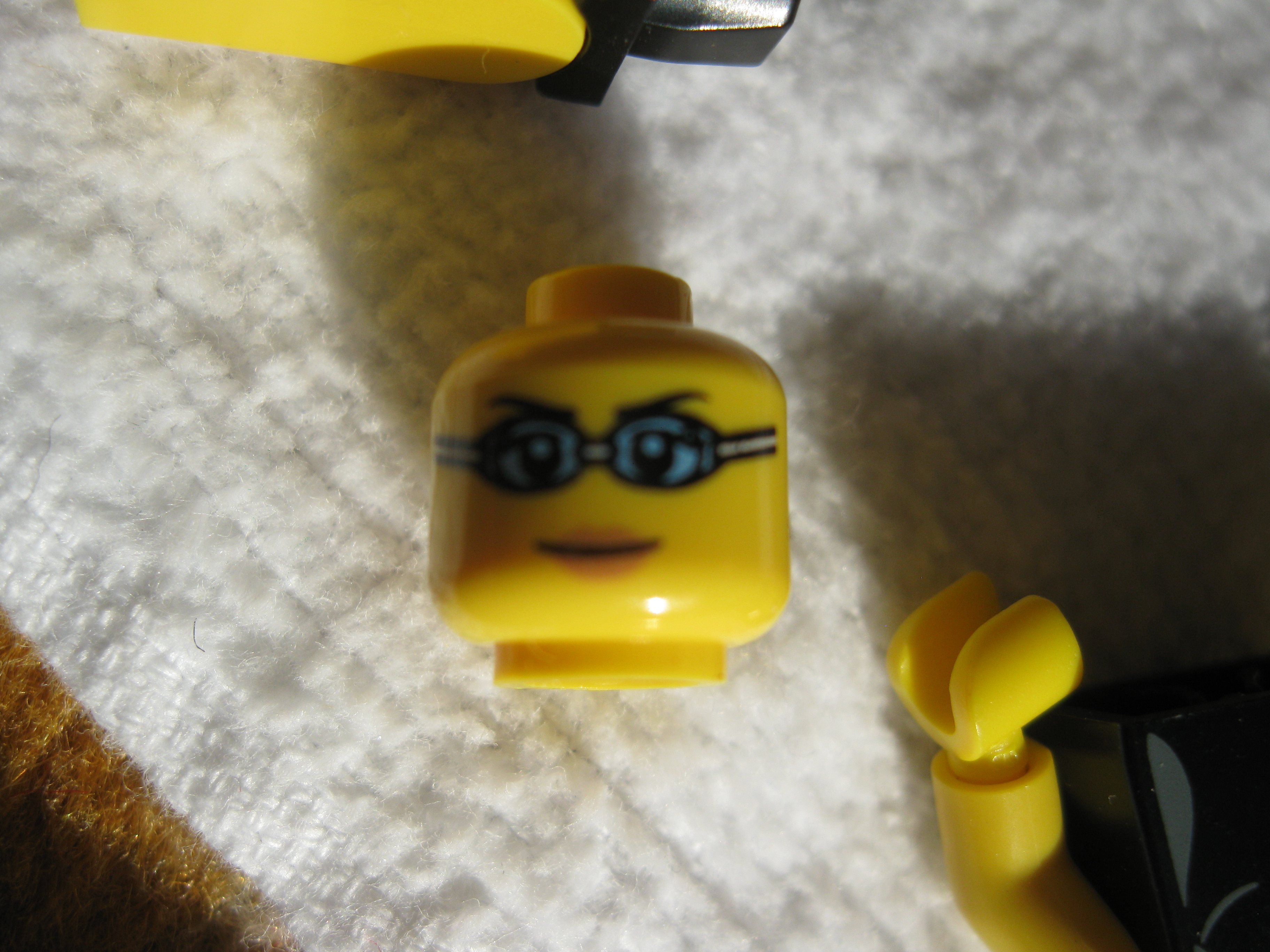 8831swimmingchampionc.jpg