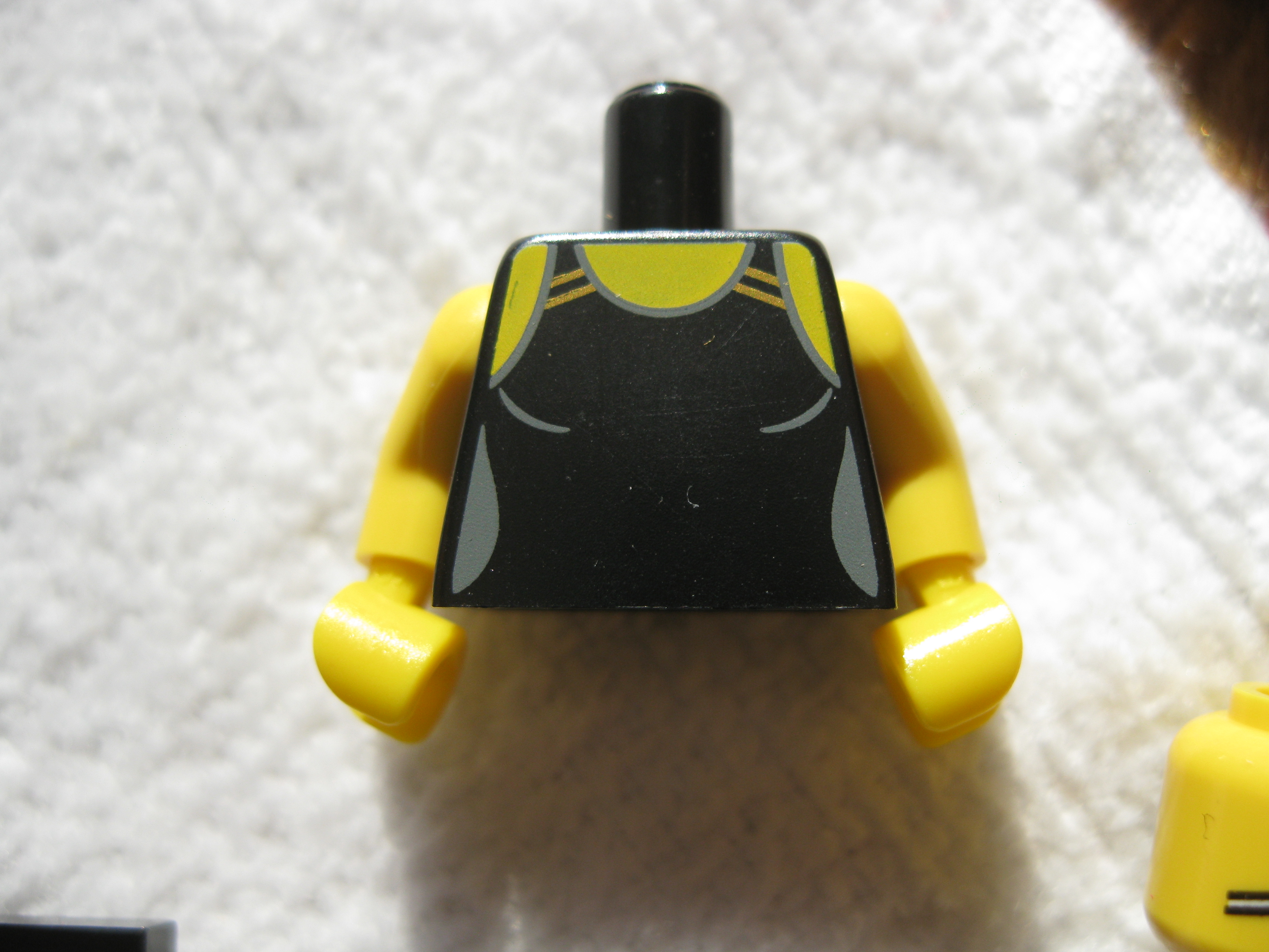 8831swimmingchampiond.jpg