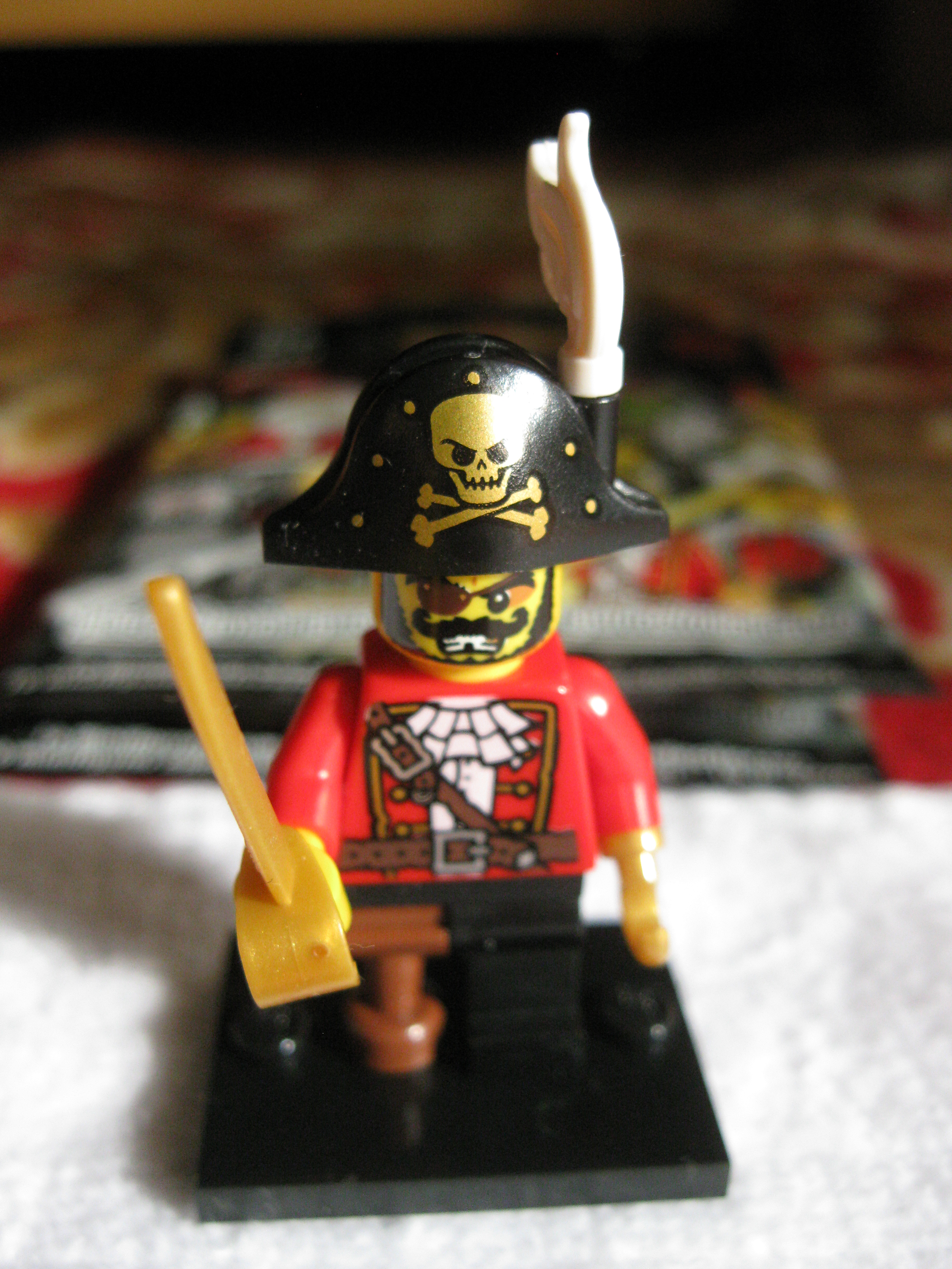 8833piratecaptain1.jpg
