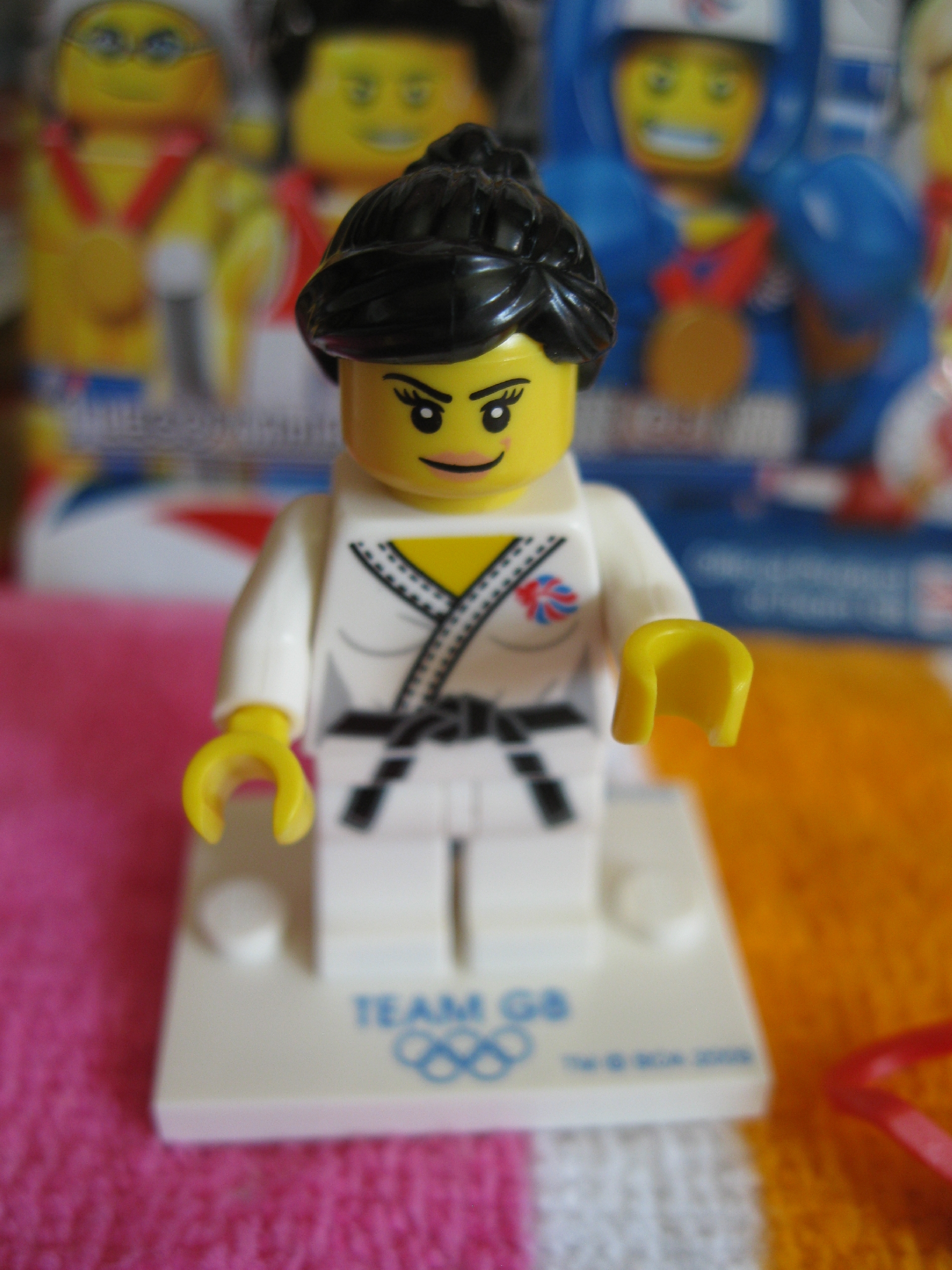 8909judofighter2.jpg