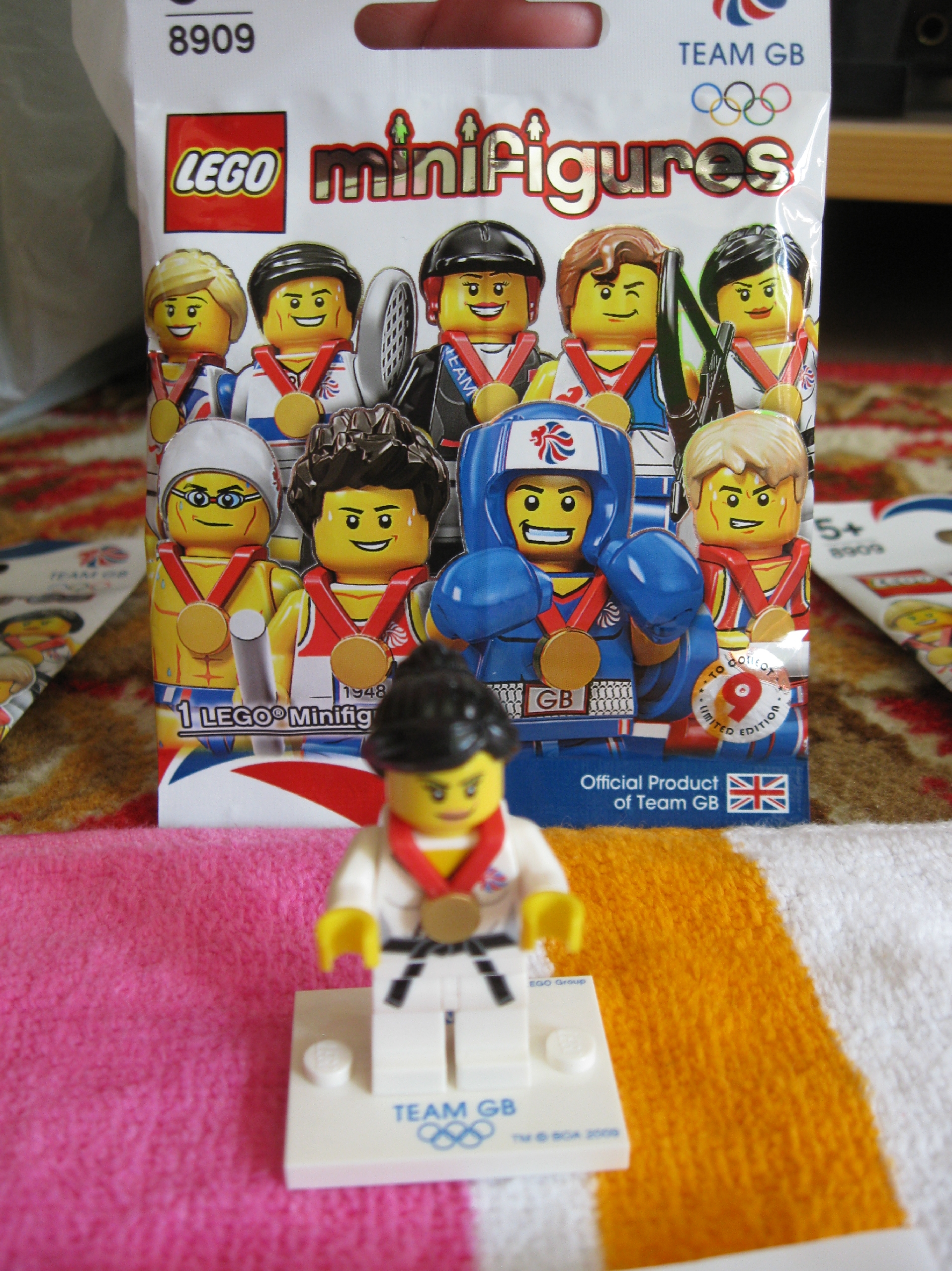 8909judofighter4.jpg