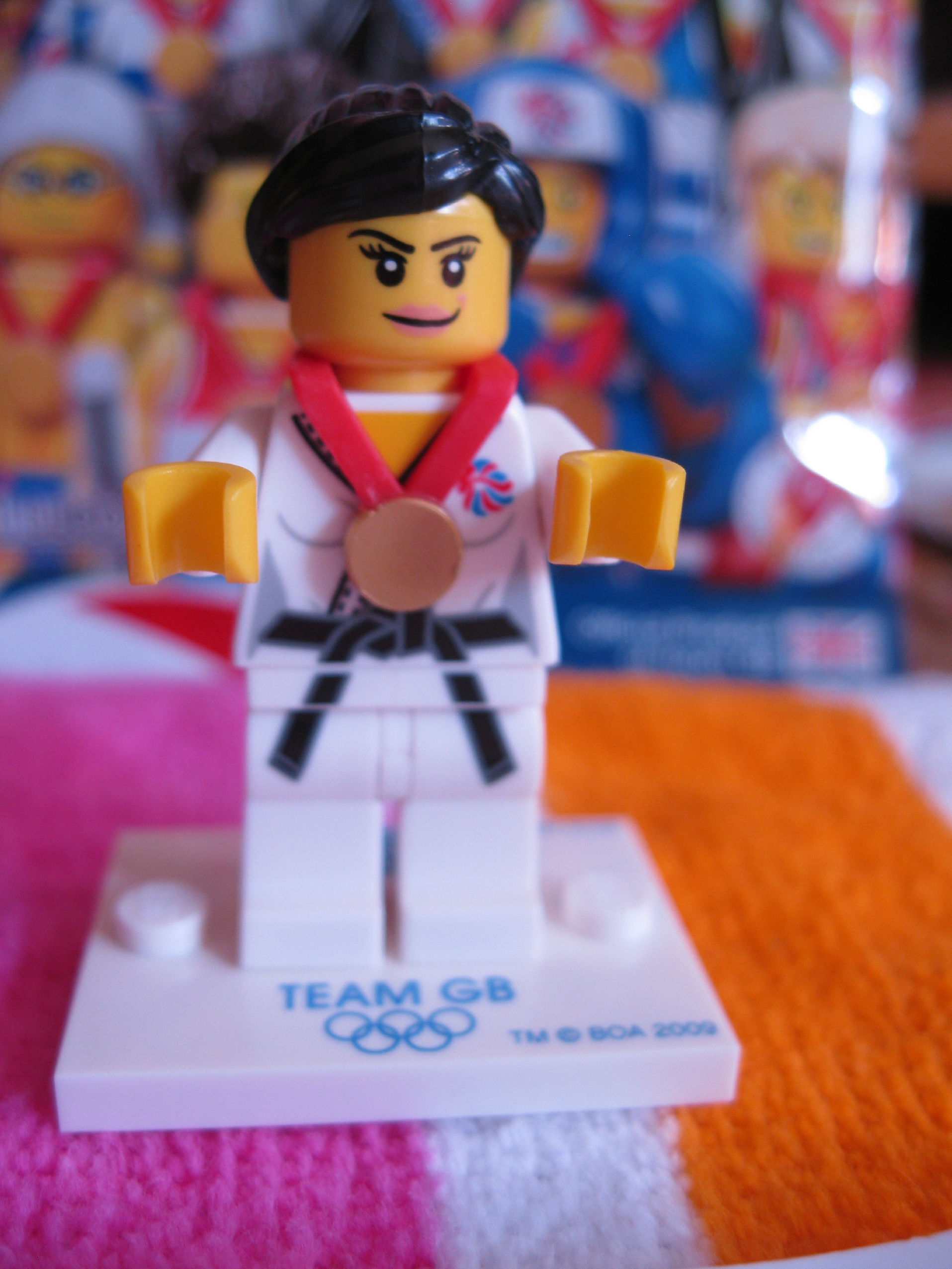 8909judofighter5.jpg