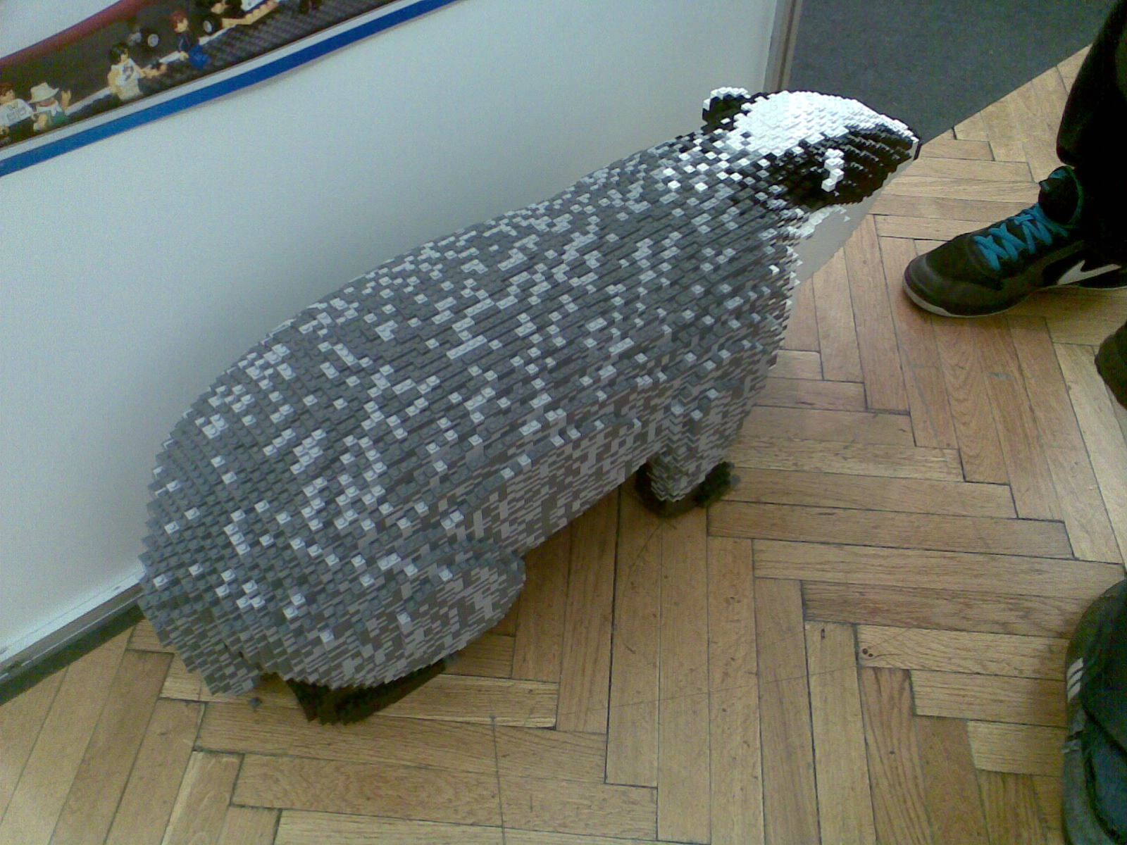 k_p019.jpg