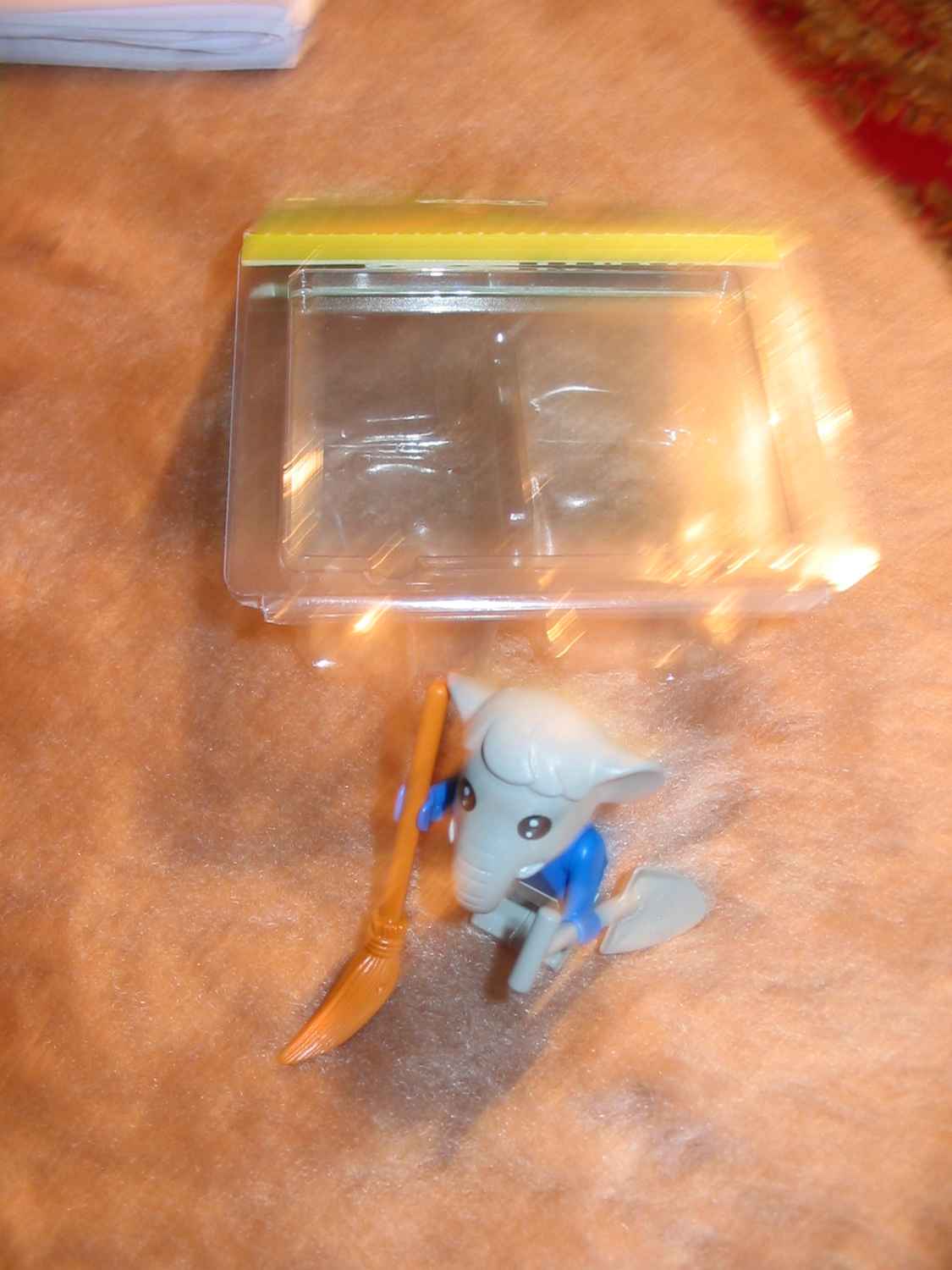 3706.jpg
