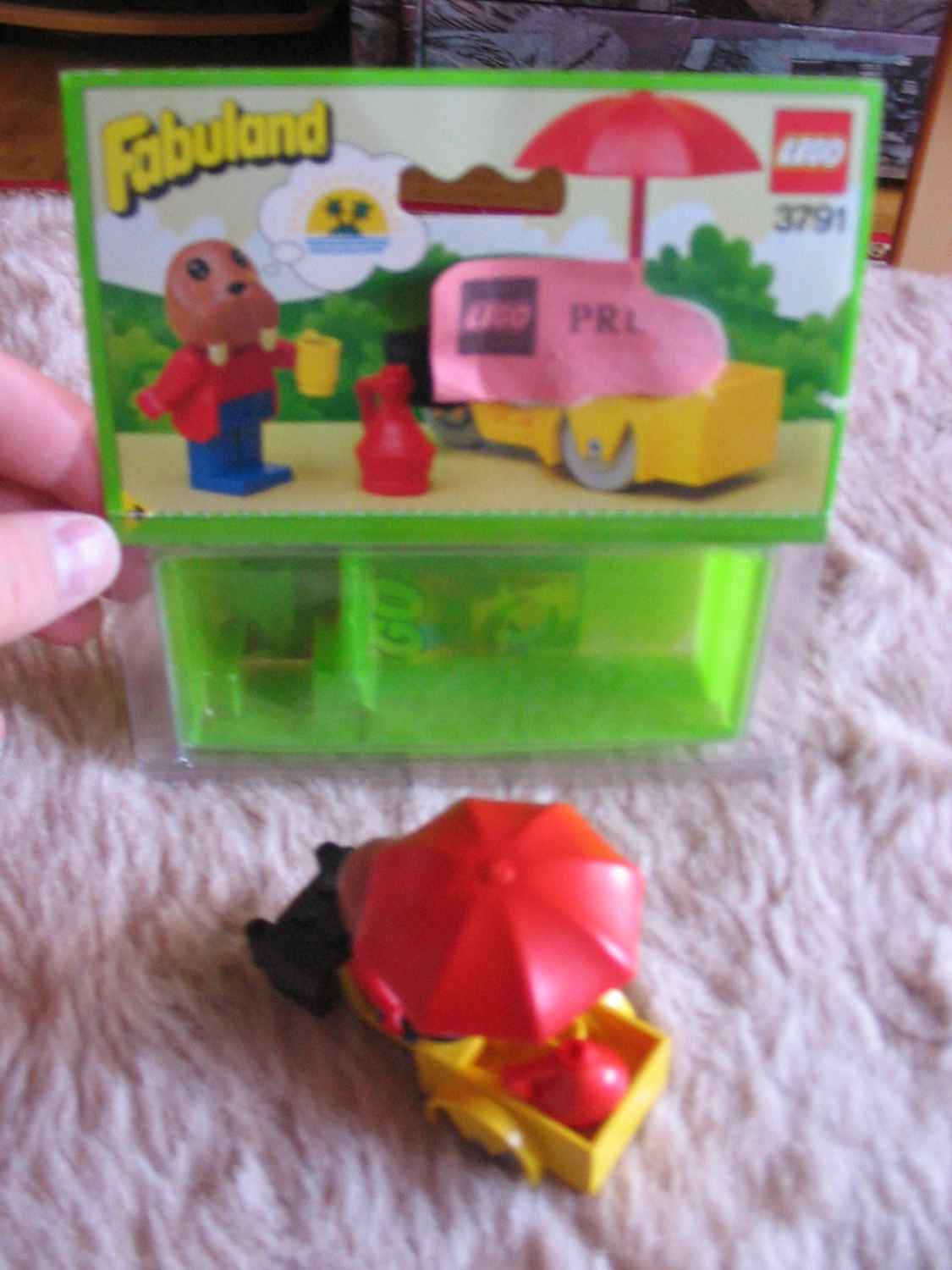 3791.jpg