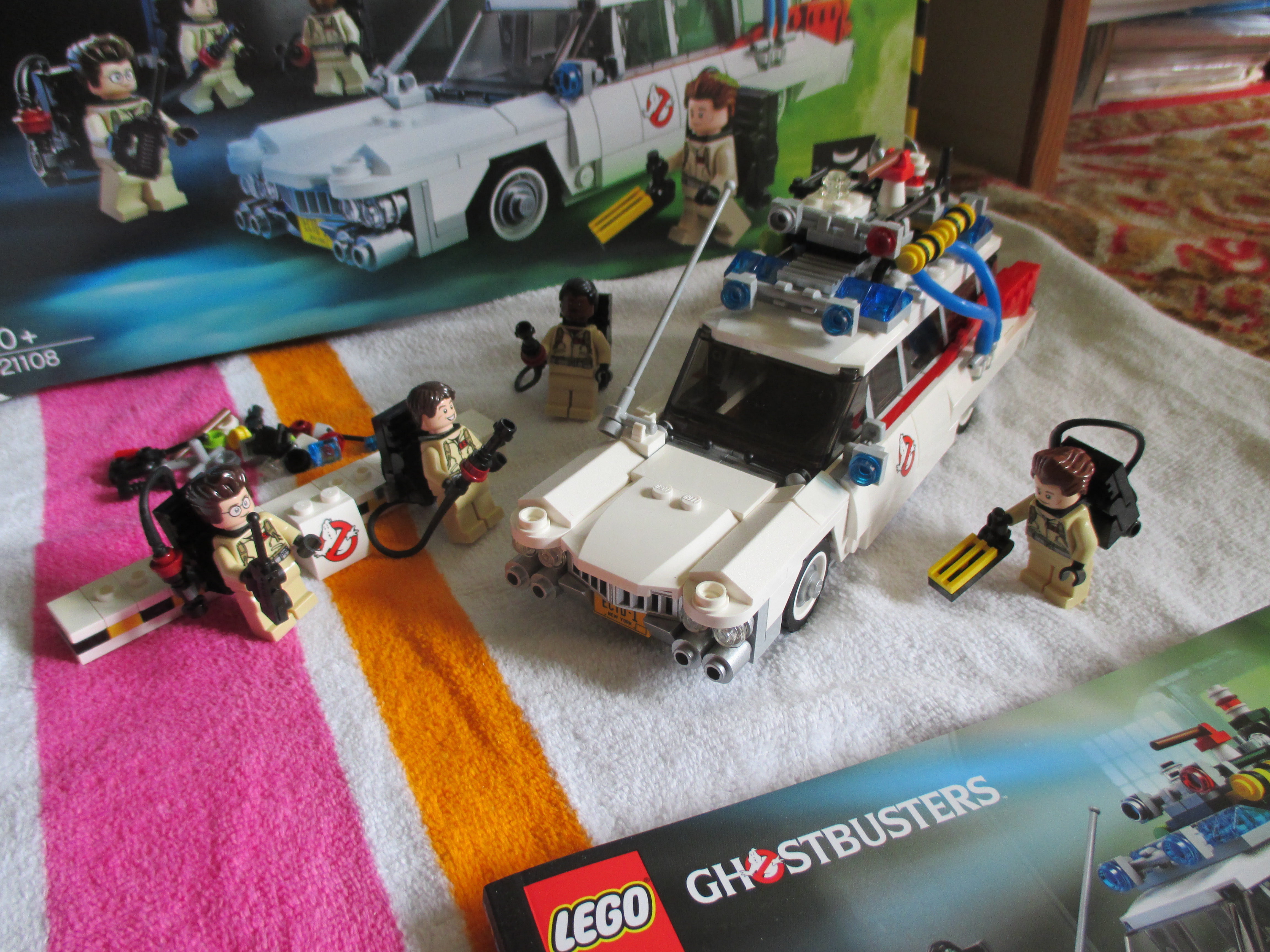 21108ecto.jpg