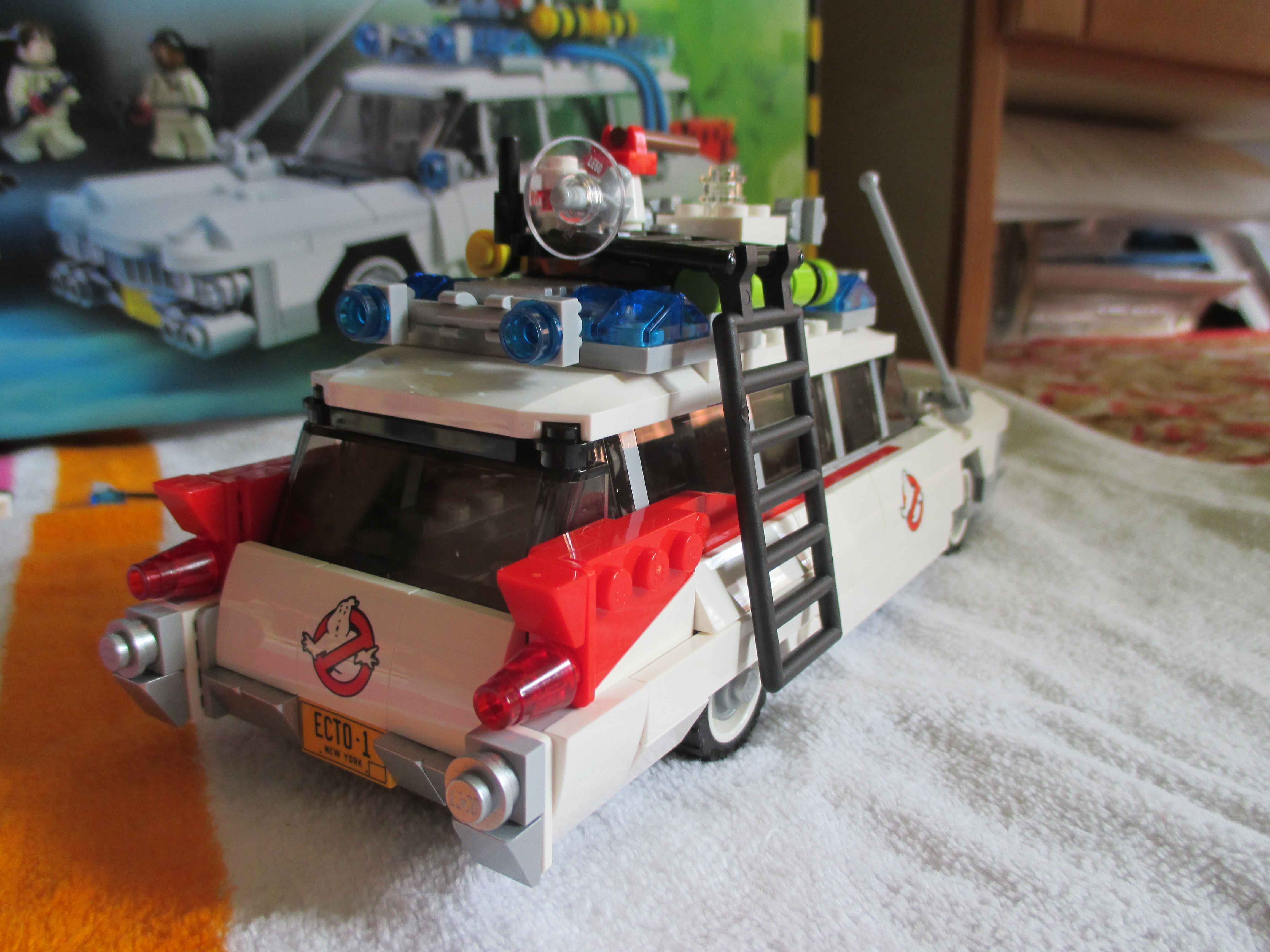 21108ecto10.jpg