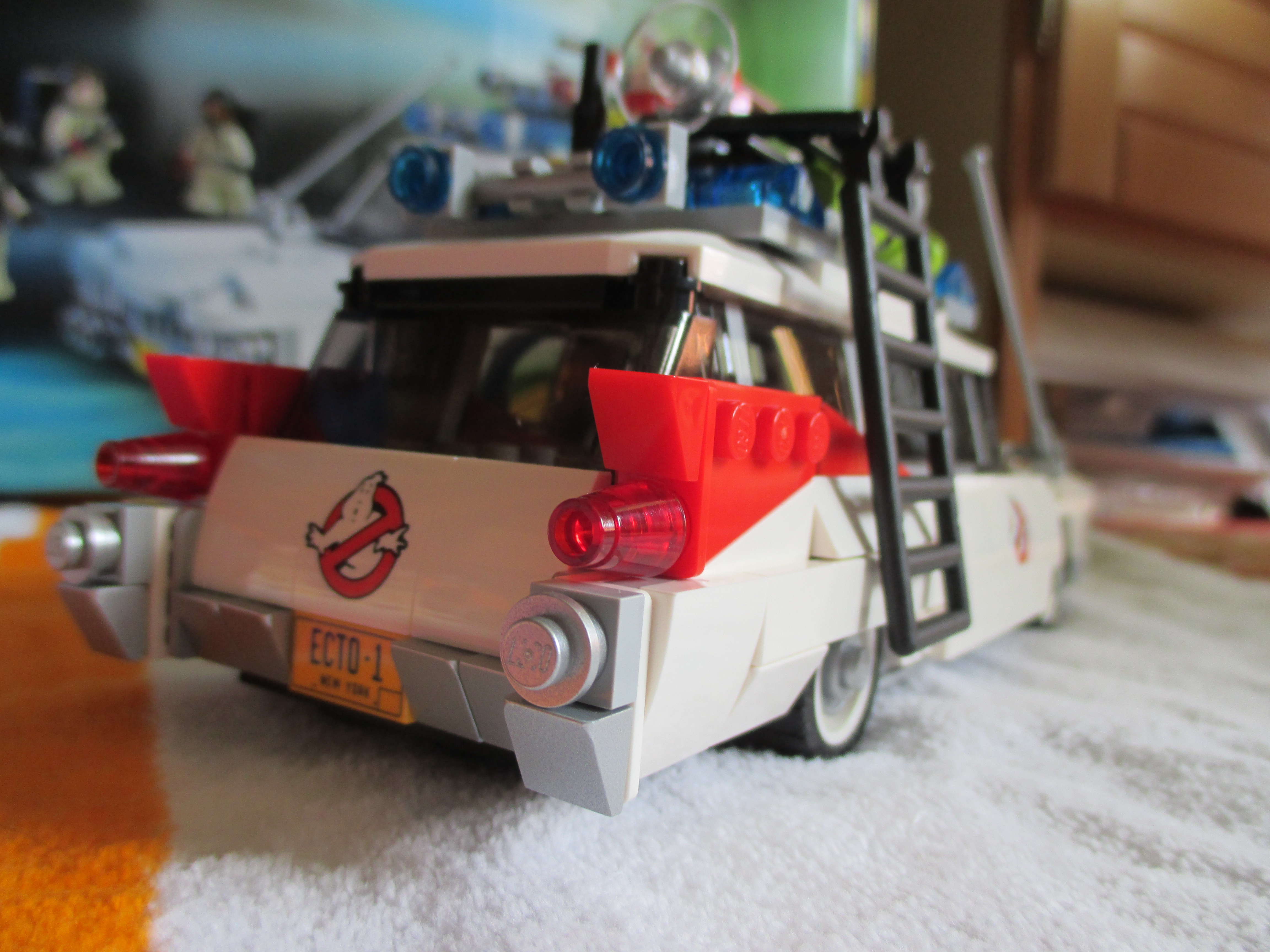 21108ecto12.jpg