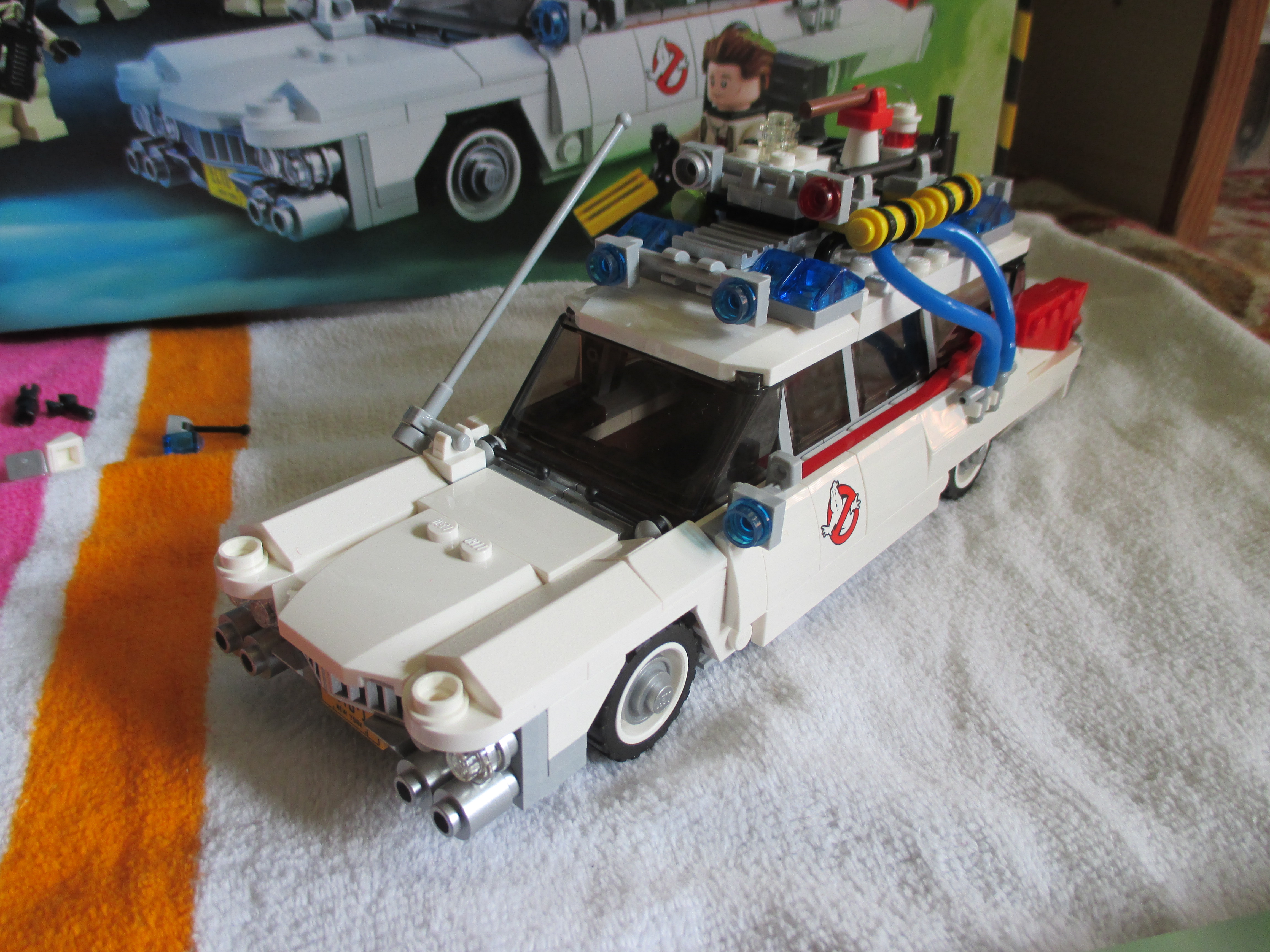 21108ecto2.jpg