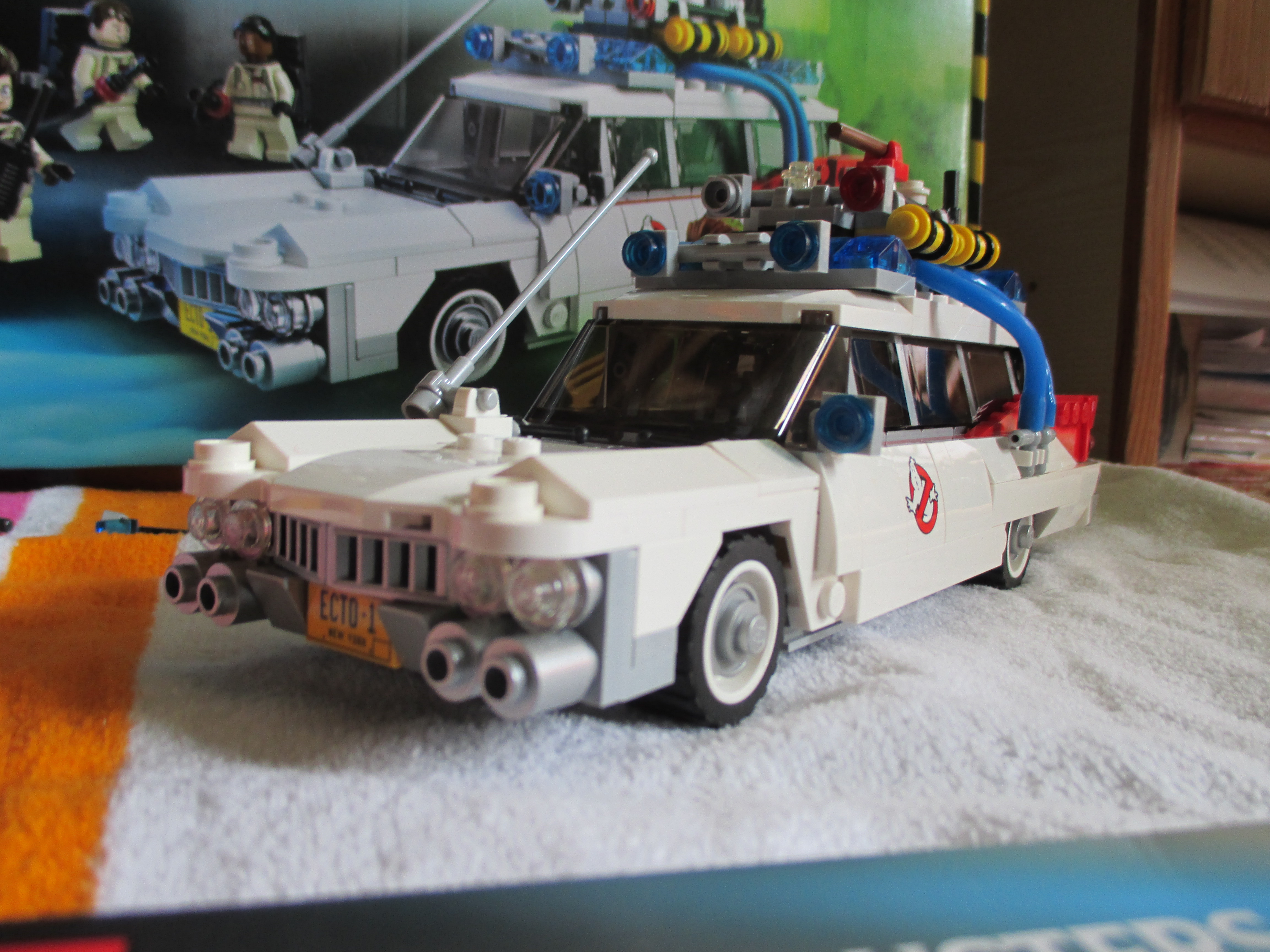 21108ecto3.jpg