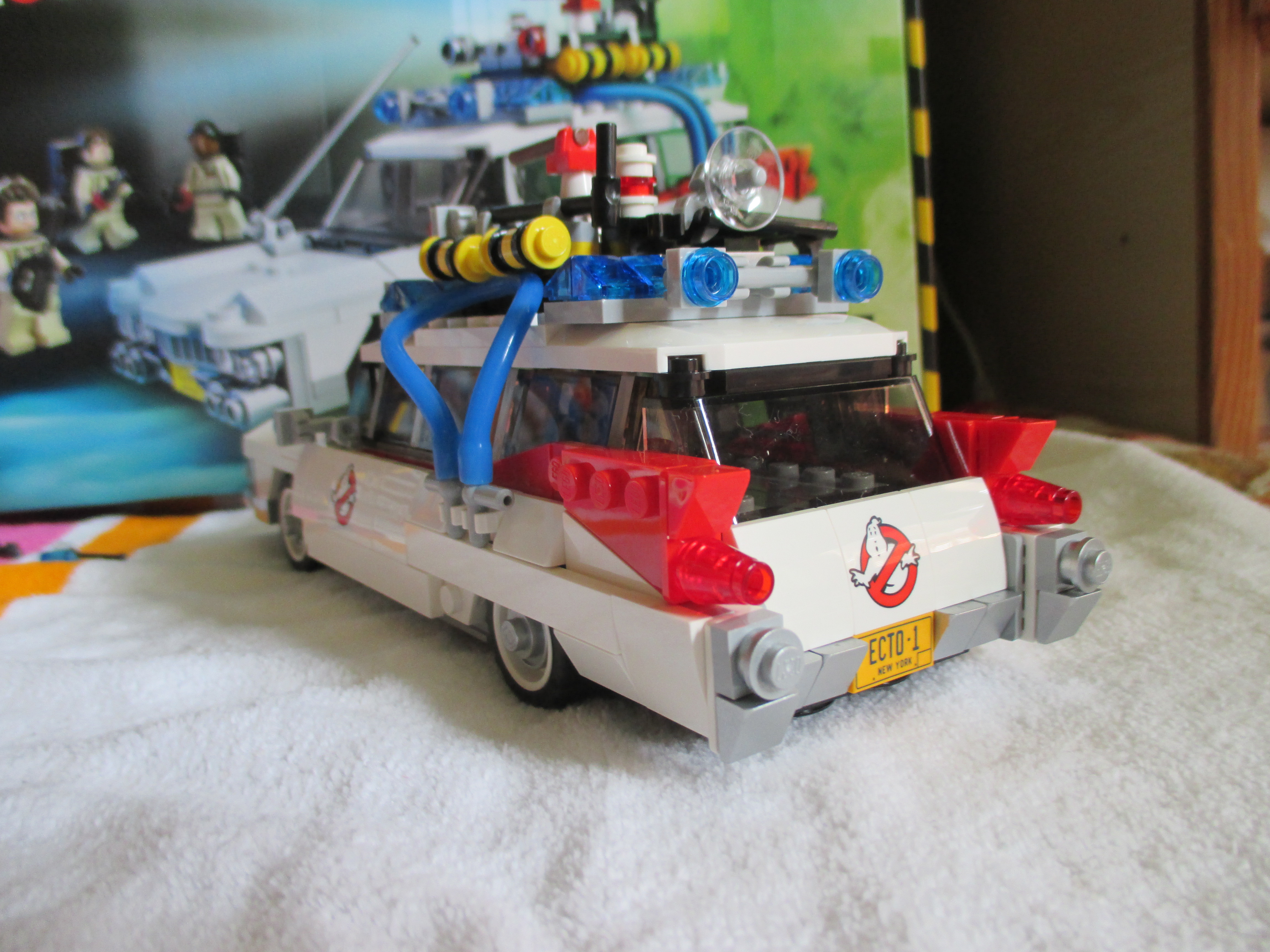 21108ecto8.jpg