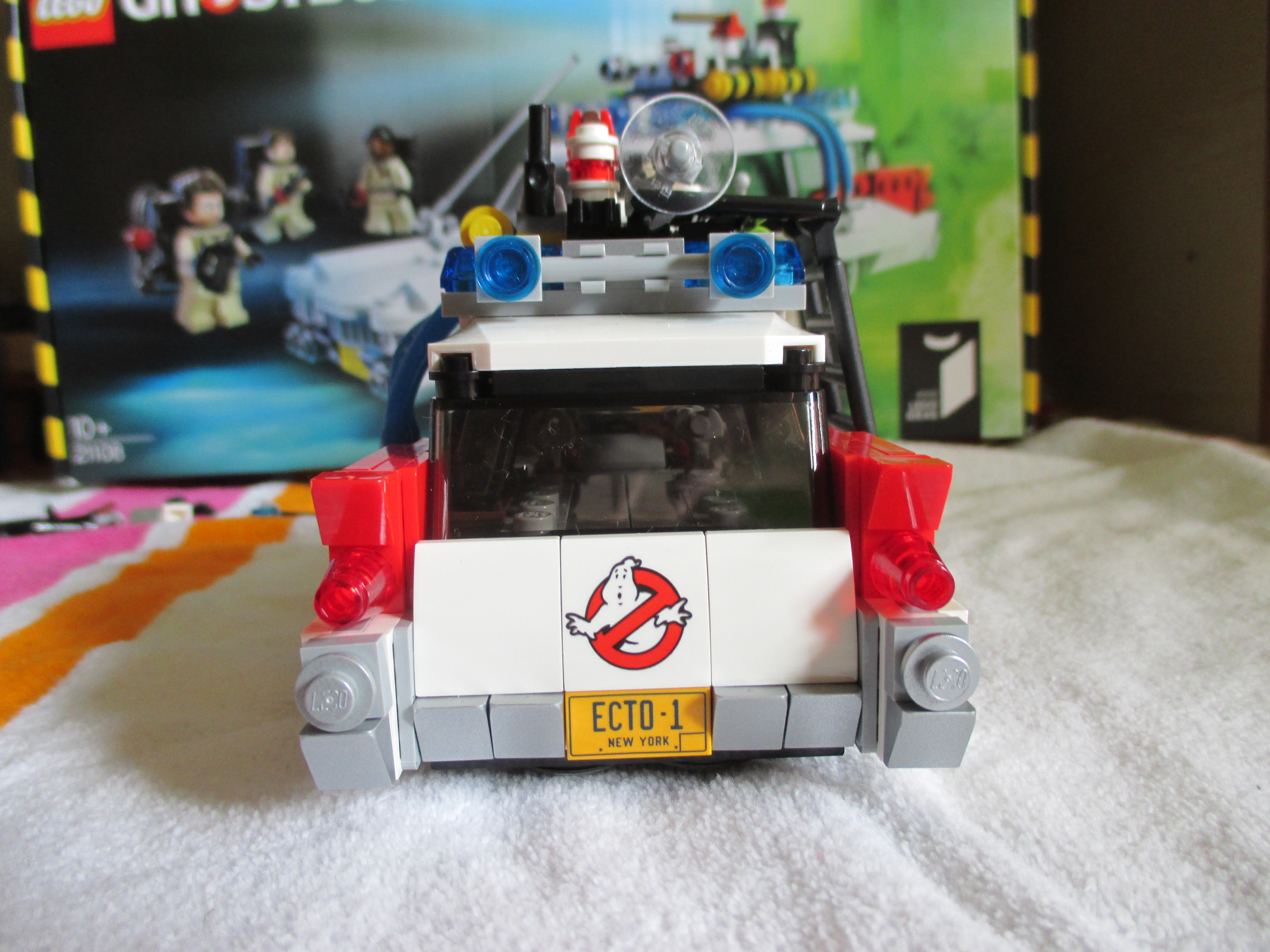 21108ecto9.jpg