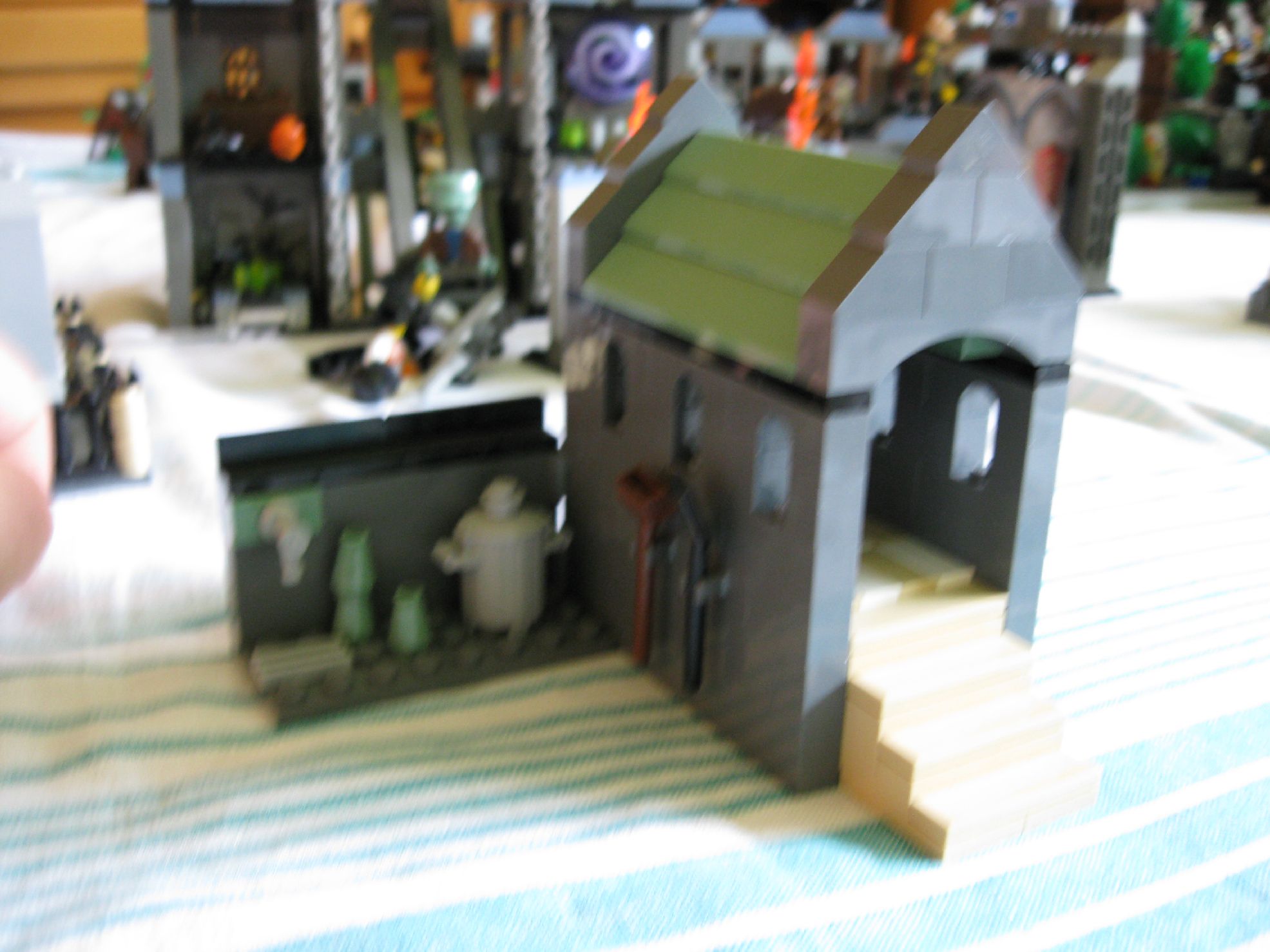 img_0350.jpg