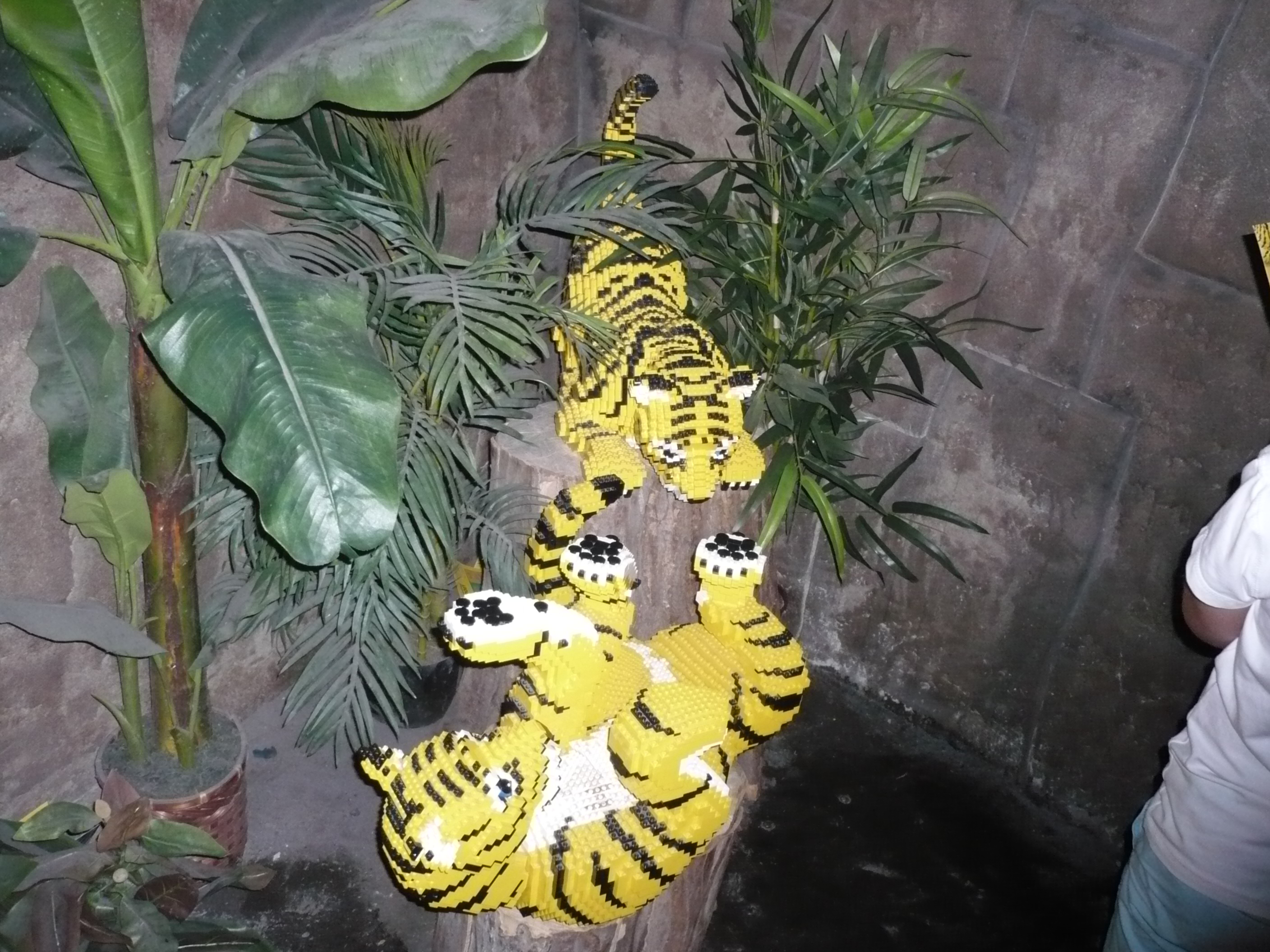 p1030710.jpg