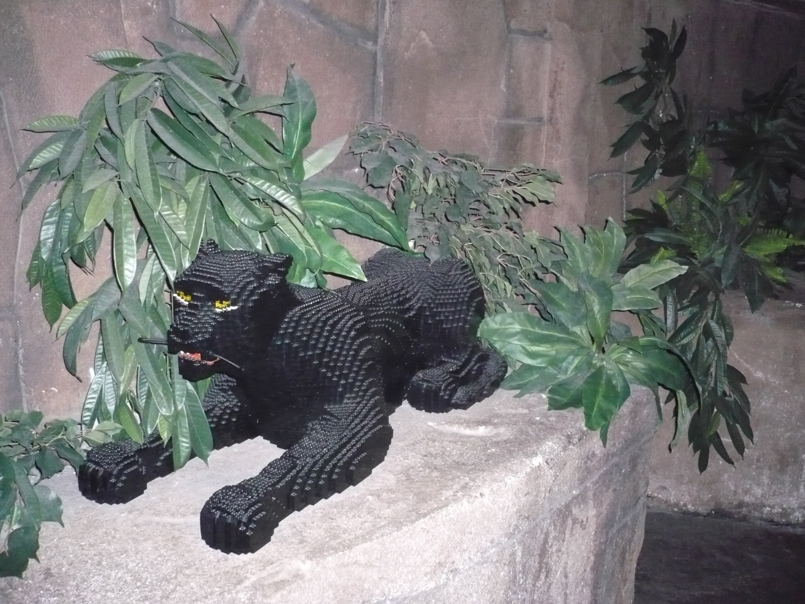 p1030711.jpg