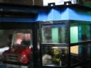 img_6062.jpg