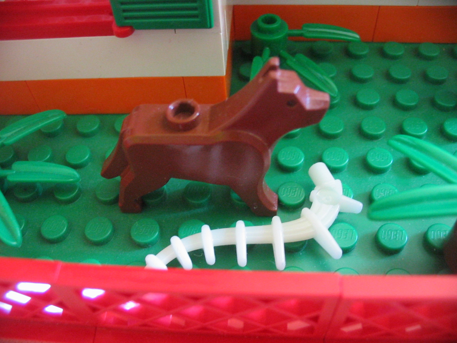 house_dog_and_his_bone.jpg