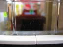 10220buslookinside10.jpg