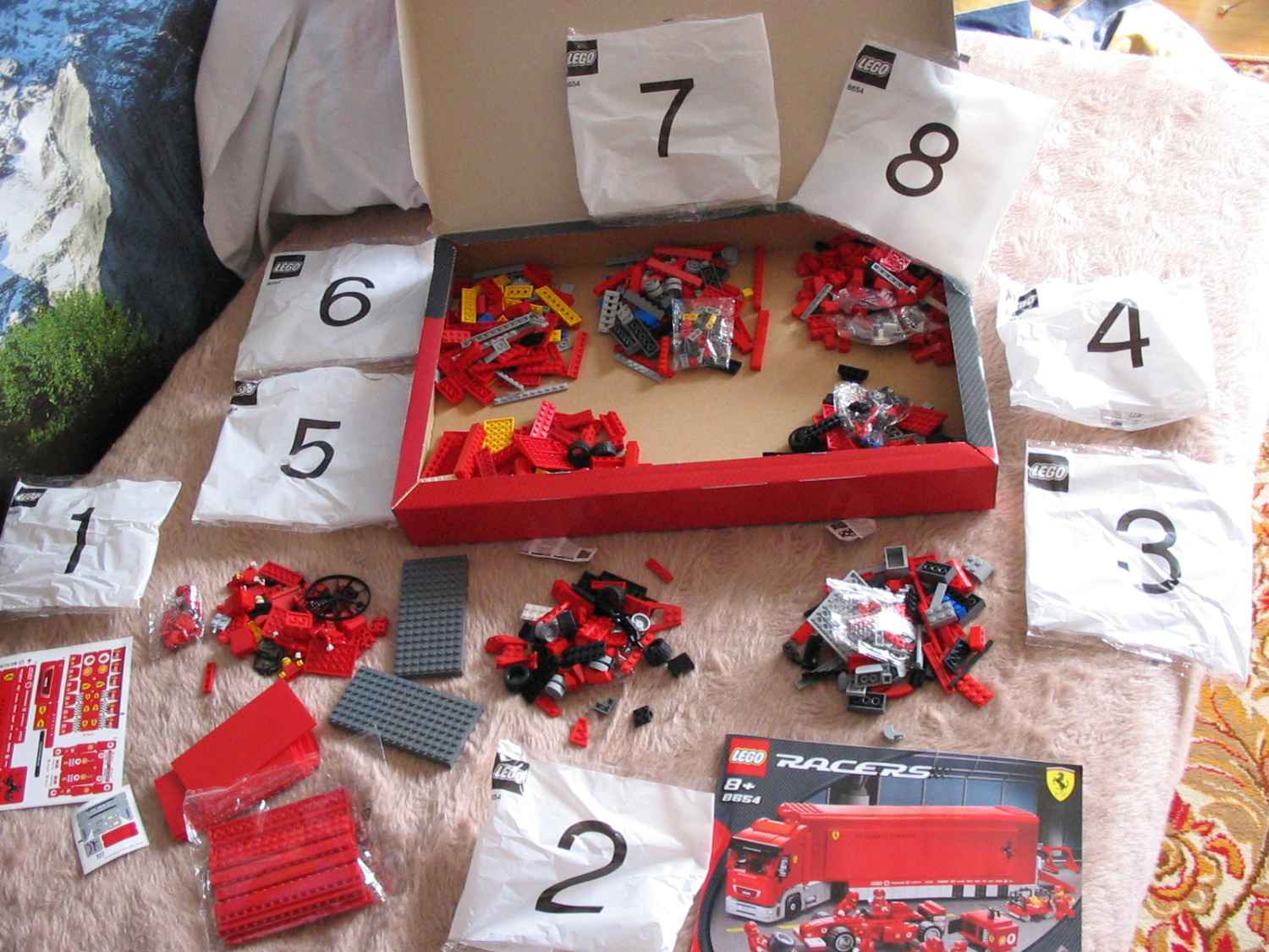 8654d.jpg