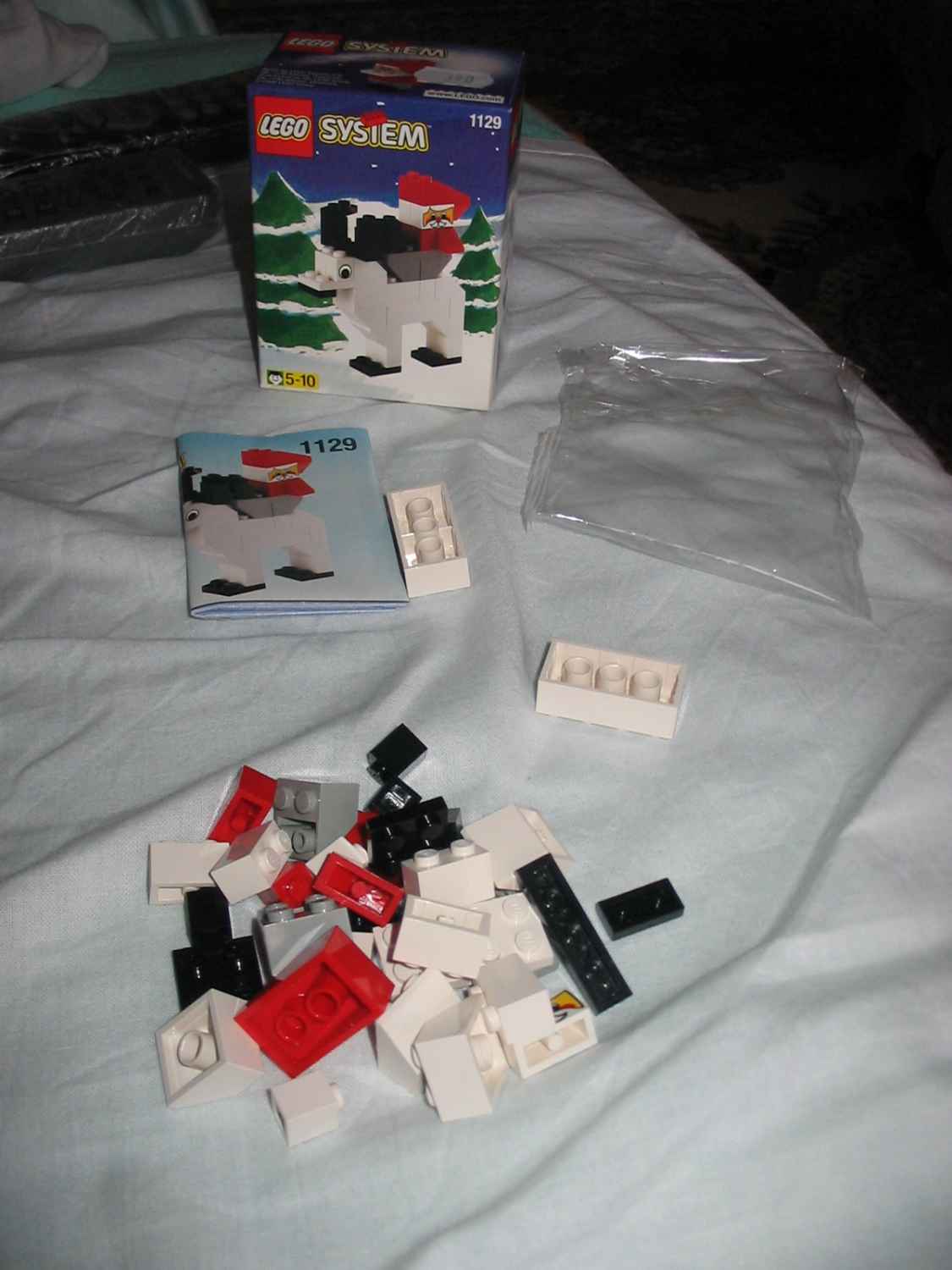 1129b.jpg