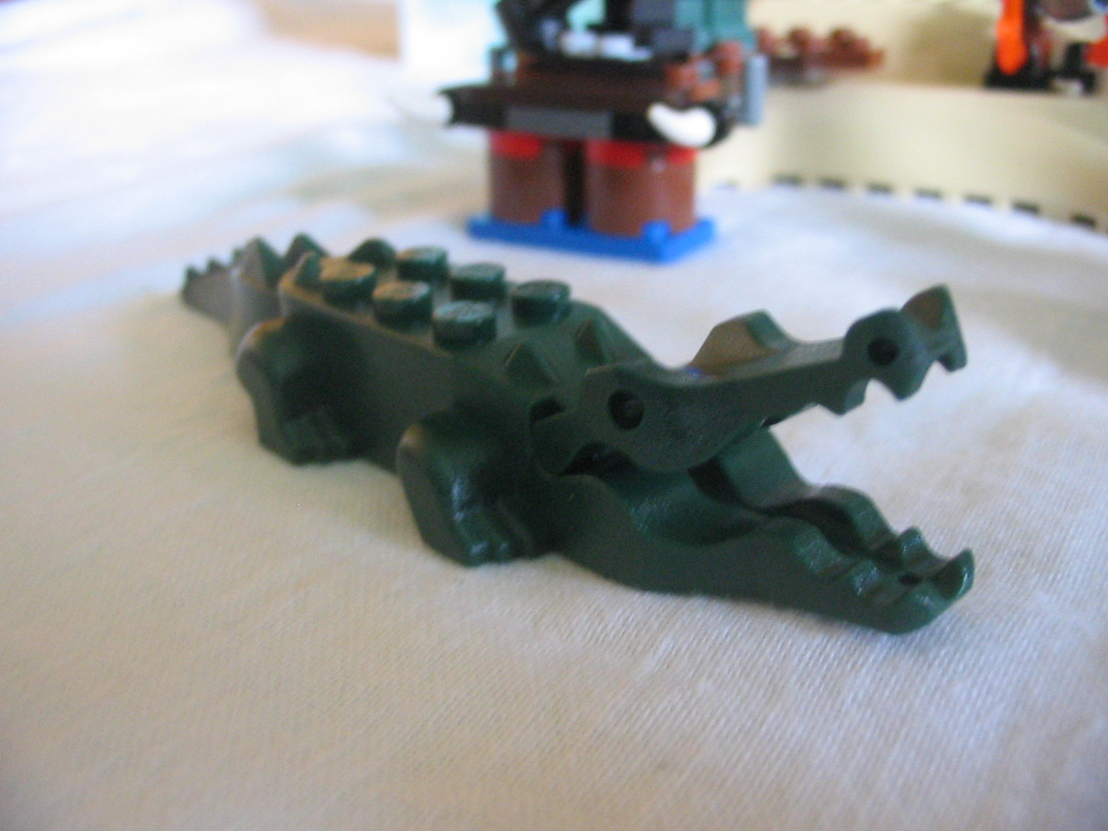 6241crocodil.jpg