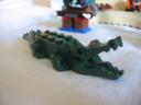 6241crocodil.jpg