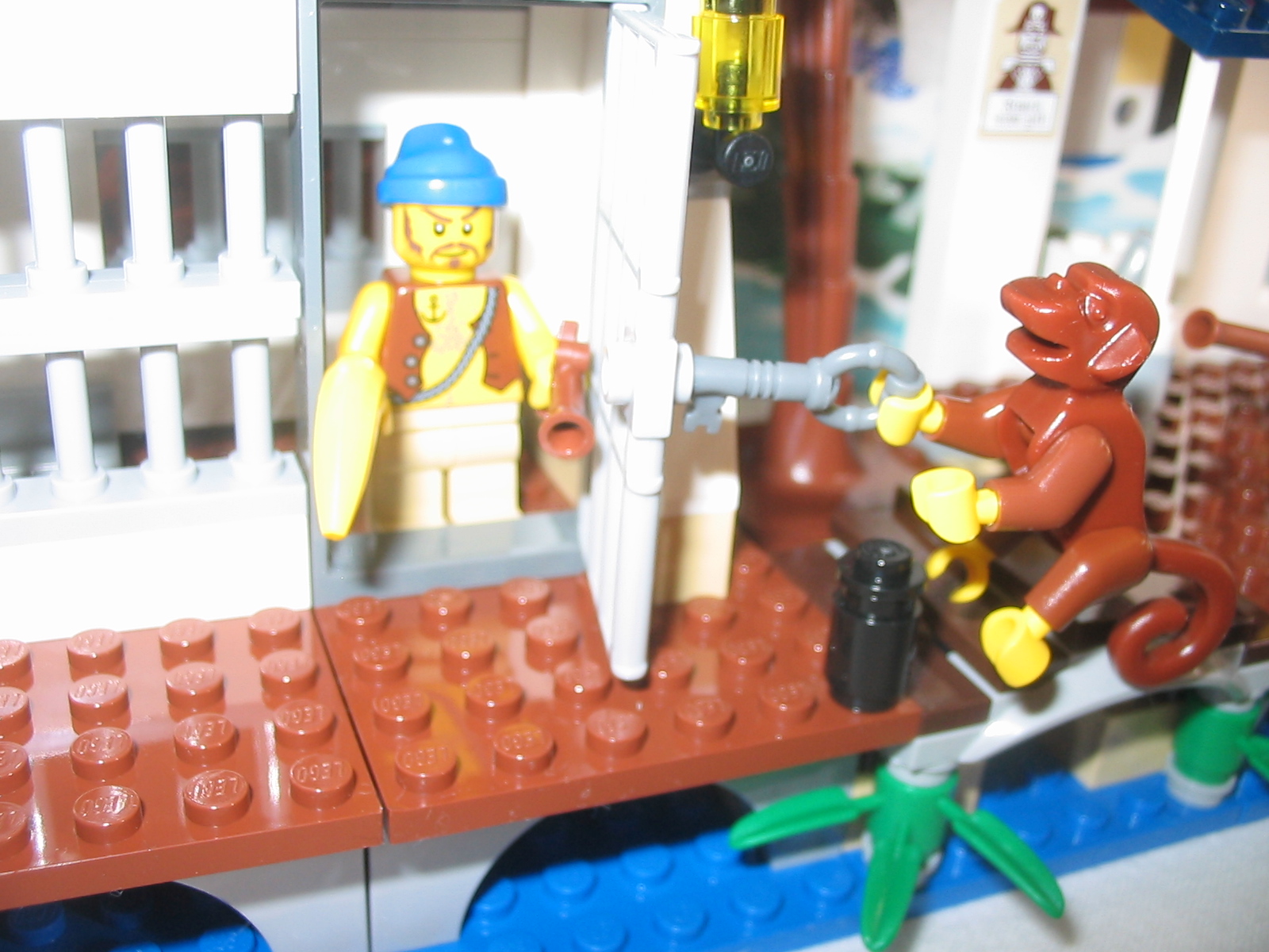 6242close2.jpg
