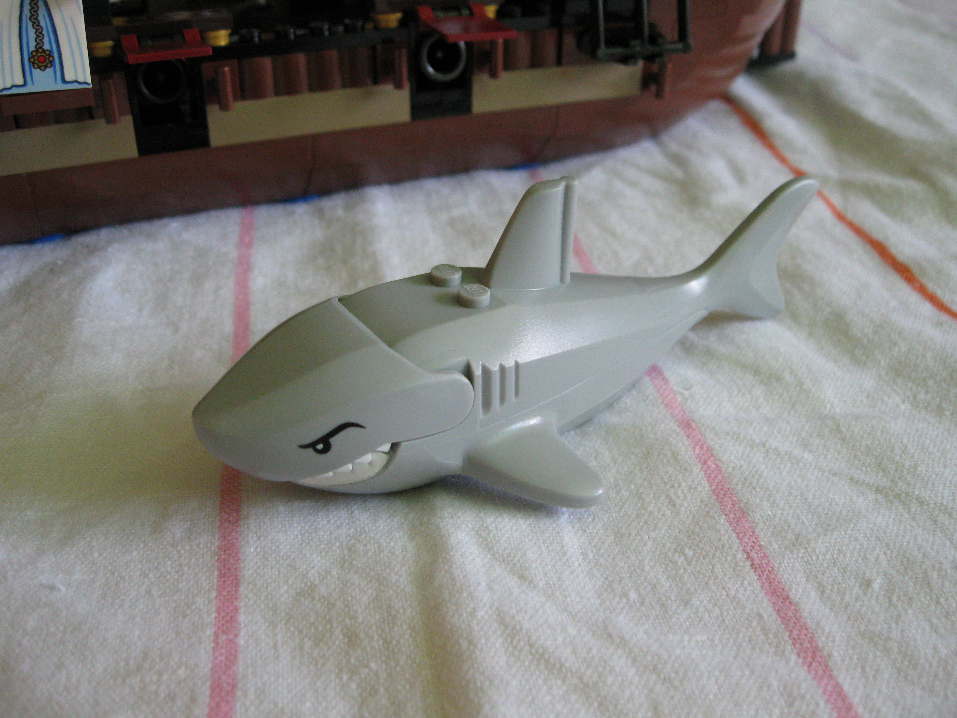 6243shark3.jpg
