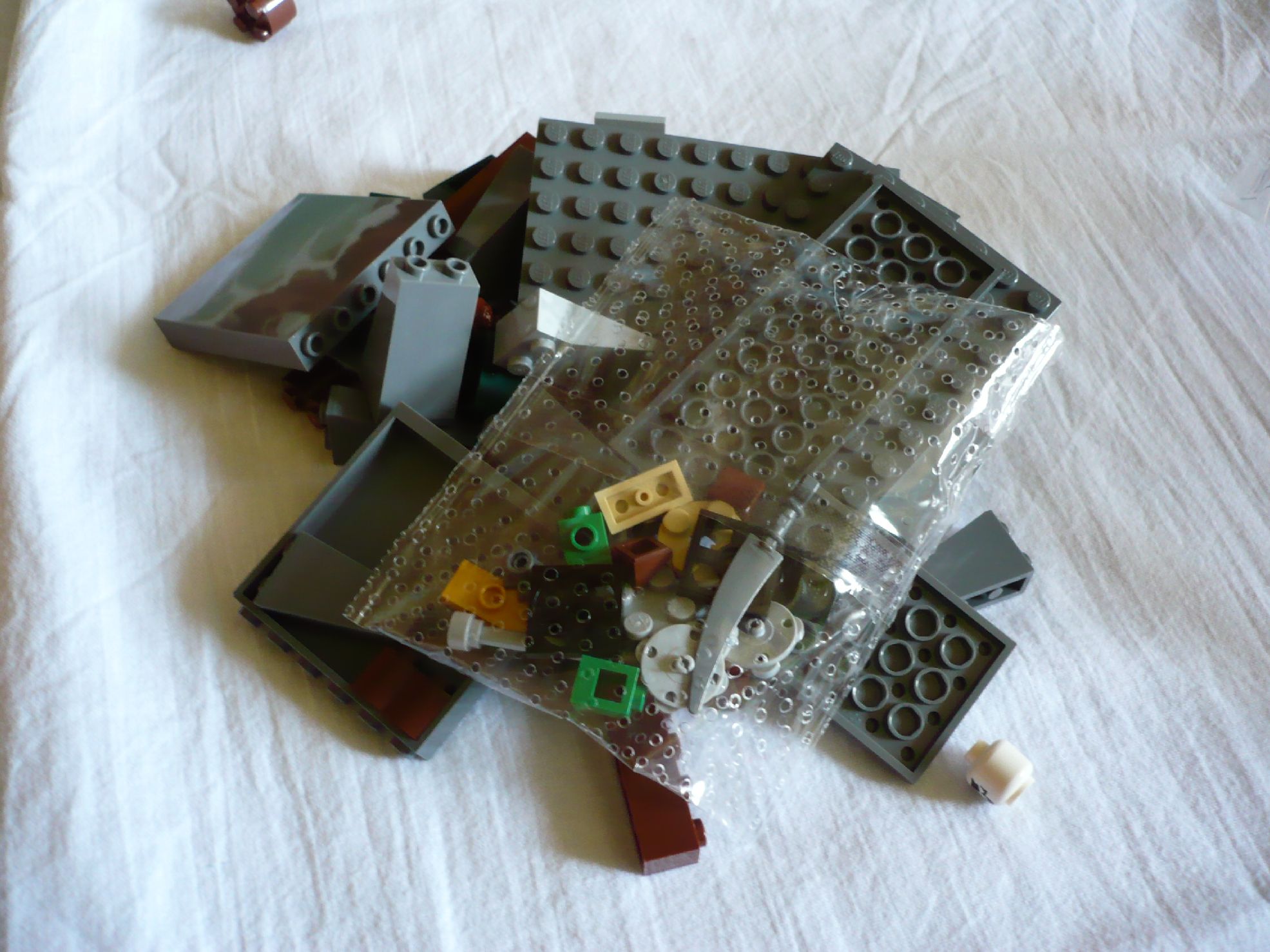 6253g.jpg