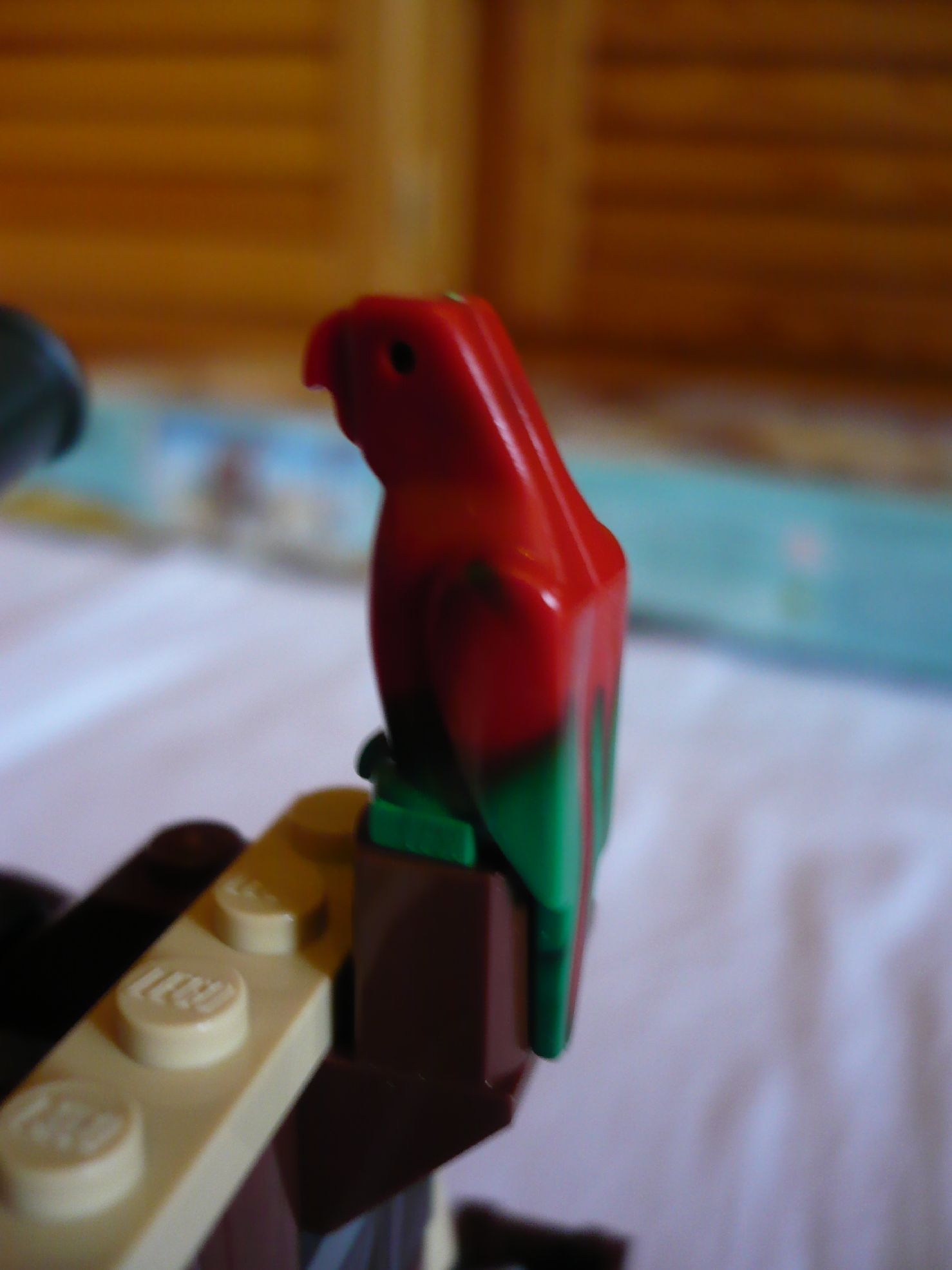 6253parrot.jpg