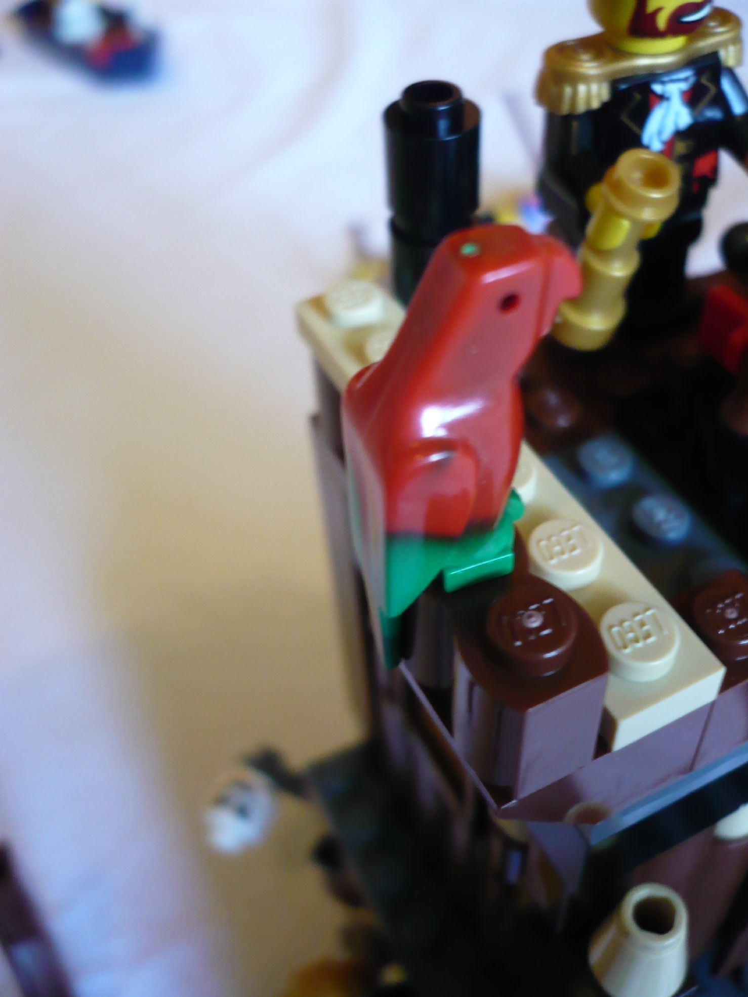 6253parrot2.jpg