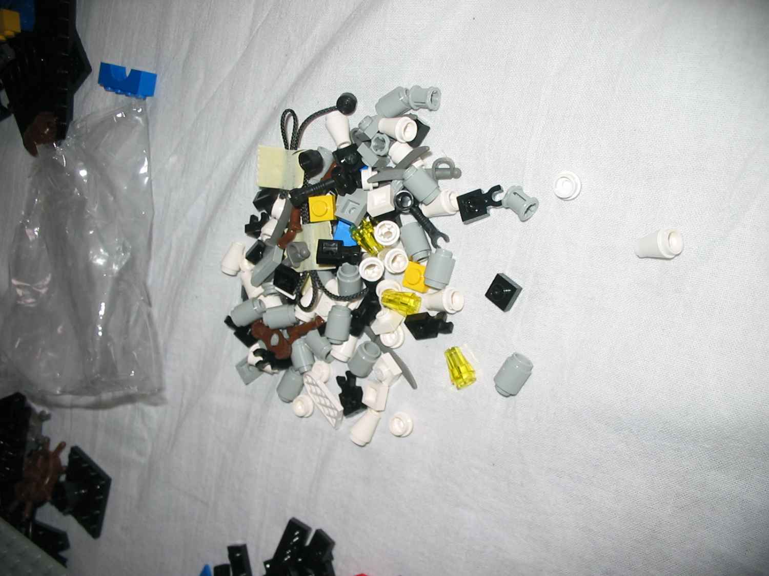 6290f.jpg