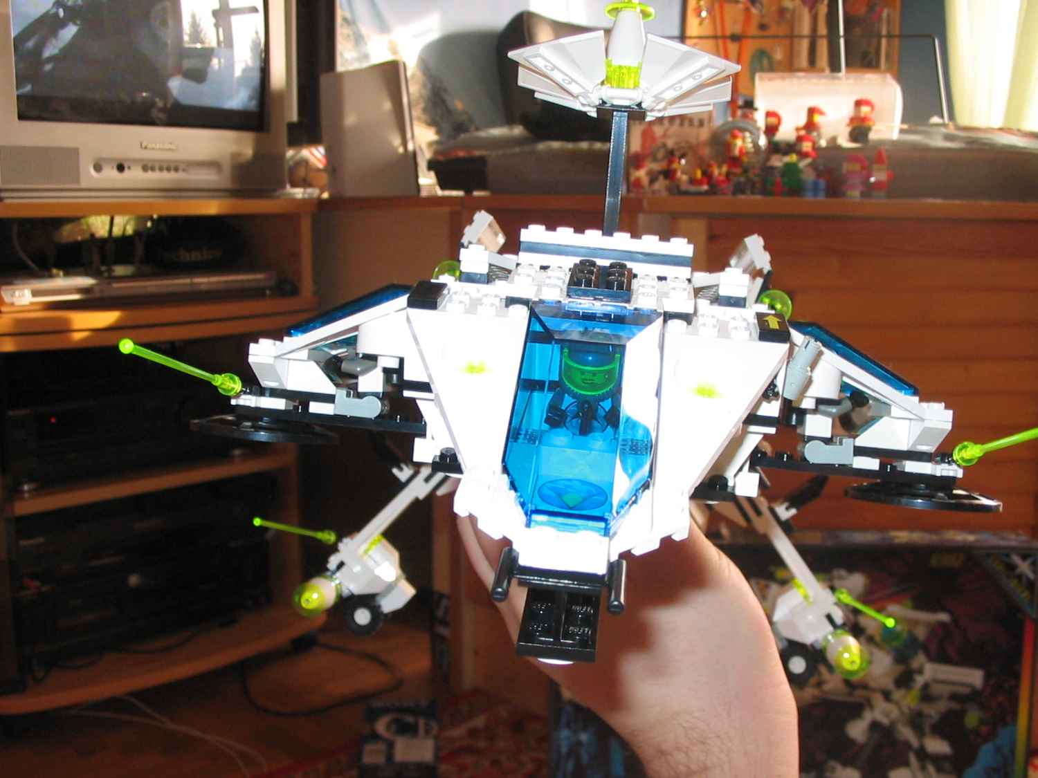 6982fly.jpg