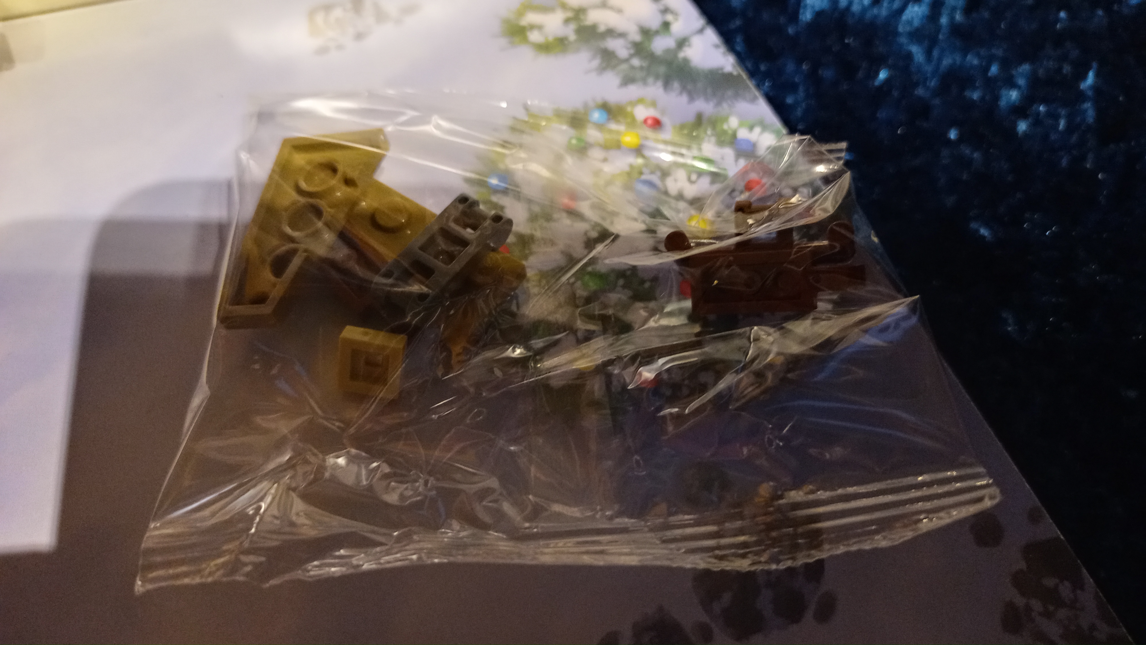 20231224_201553_hdr.jpg
