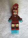 30167iroonman4.jpg